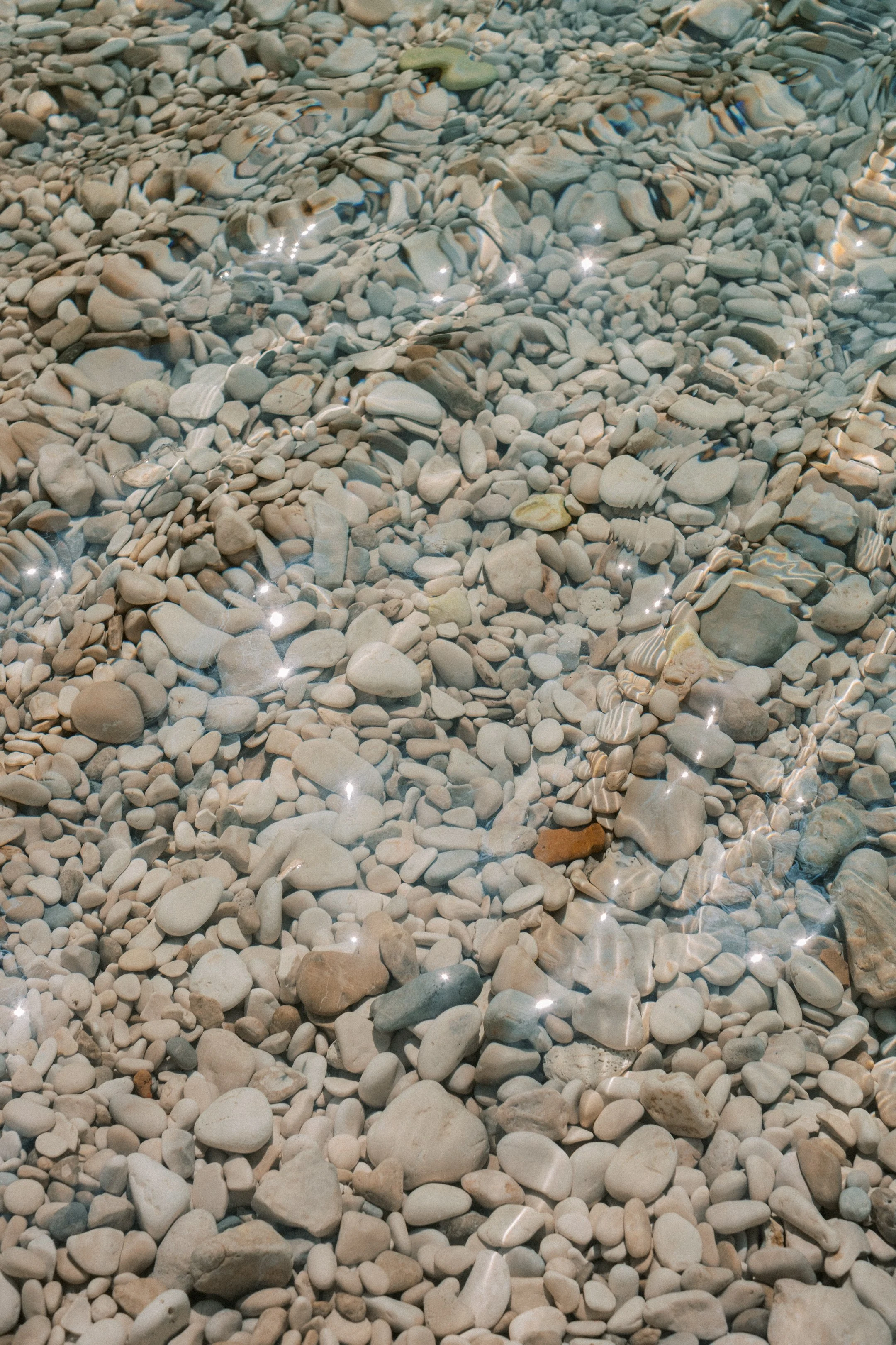 DSCF8638.jpg