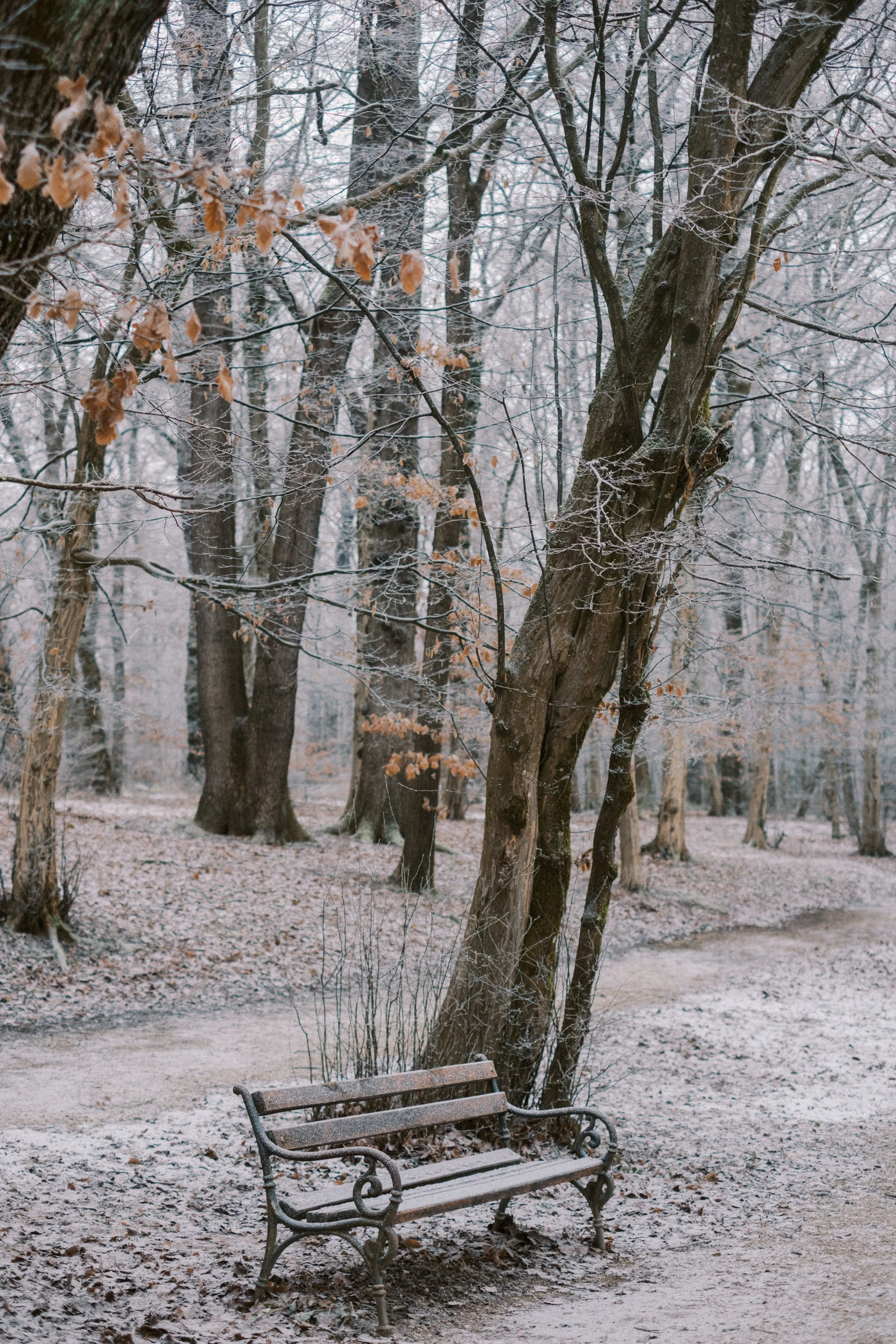 Maksimir-56.jpg