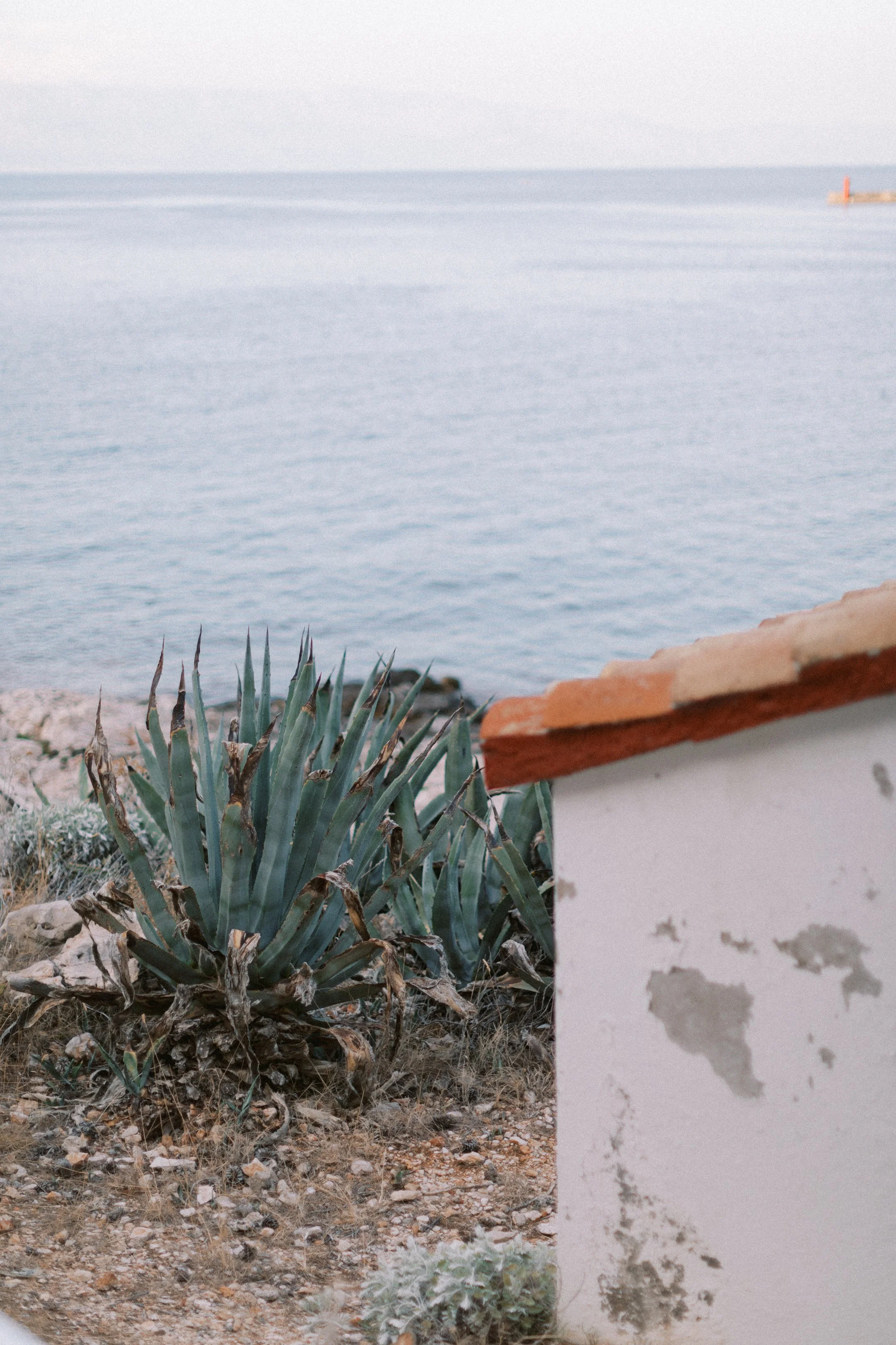 hvar_new-66.jpg