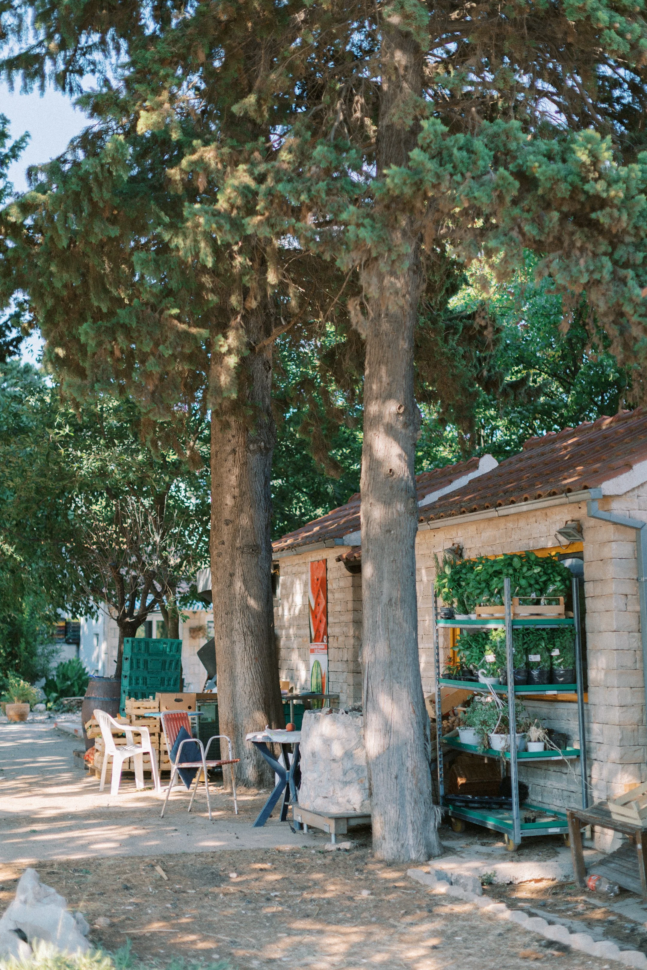 hvar_new-113.jpg