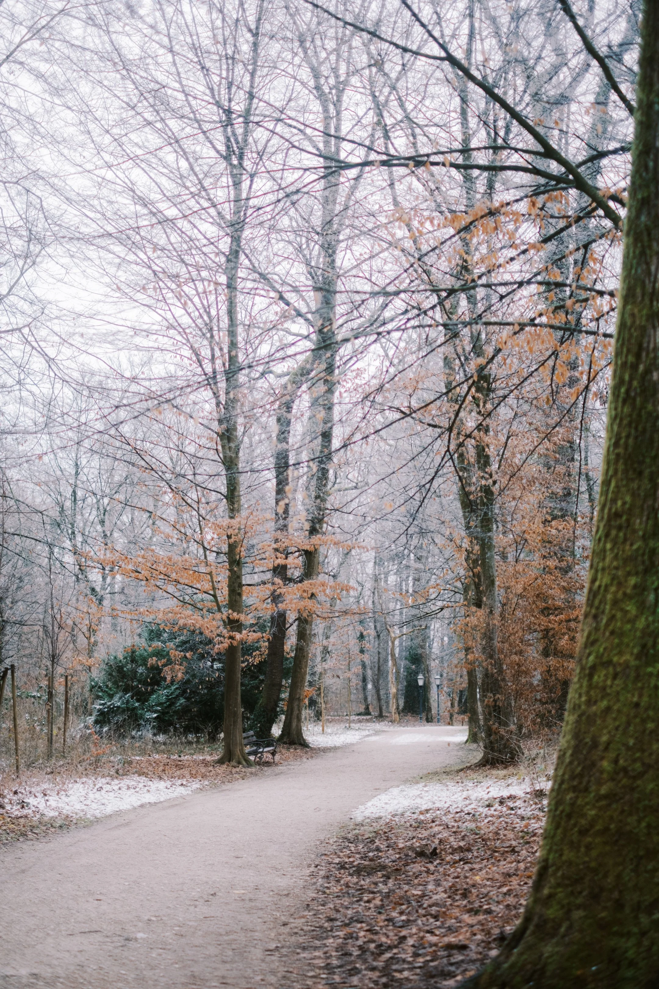 Maksimir-2.jpg