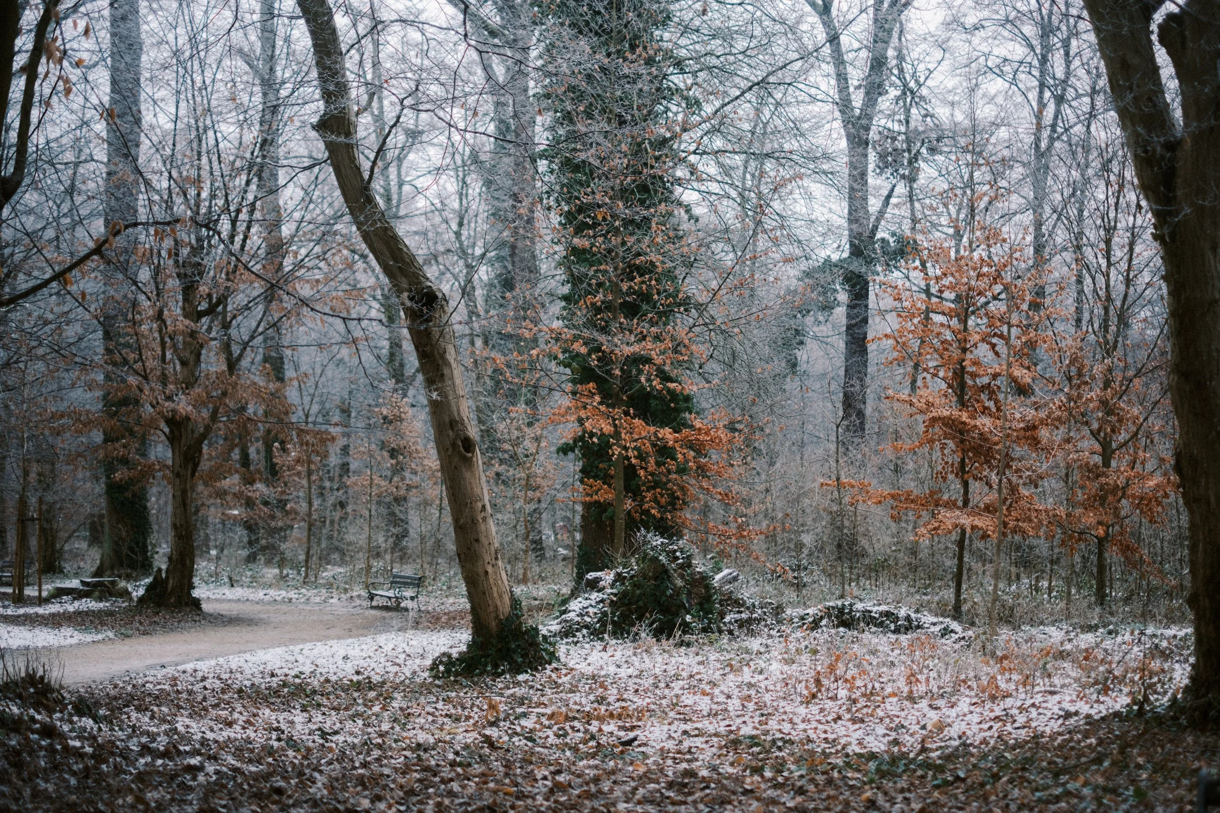 Maksimir-19.jpg