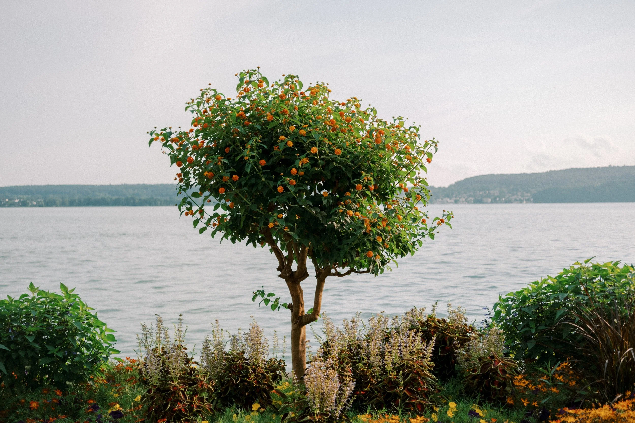 Uberlingen streets-159.jpg