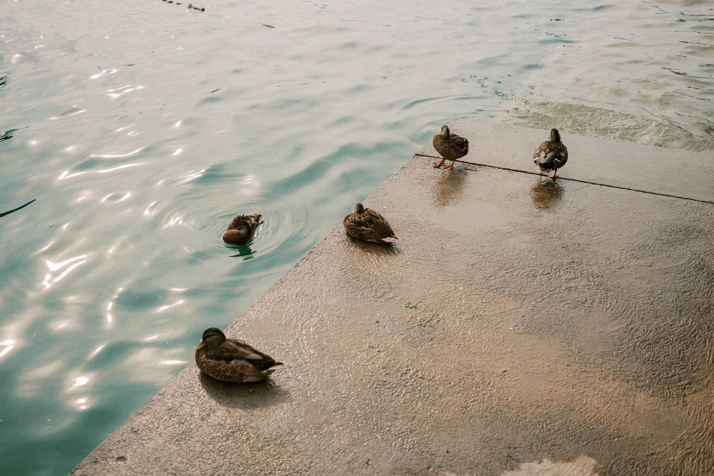 Uberlingen streets-84.jpg