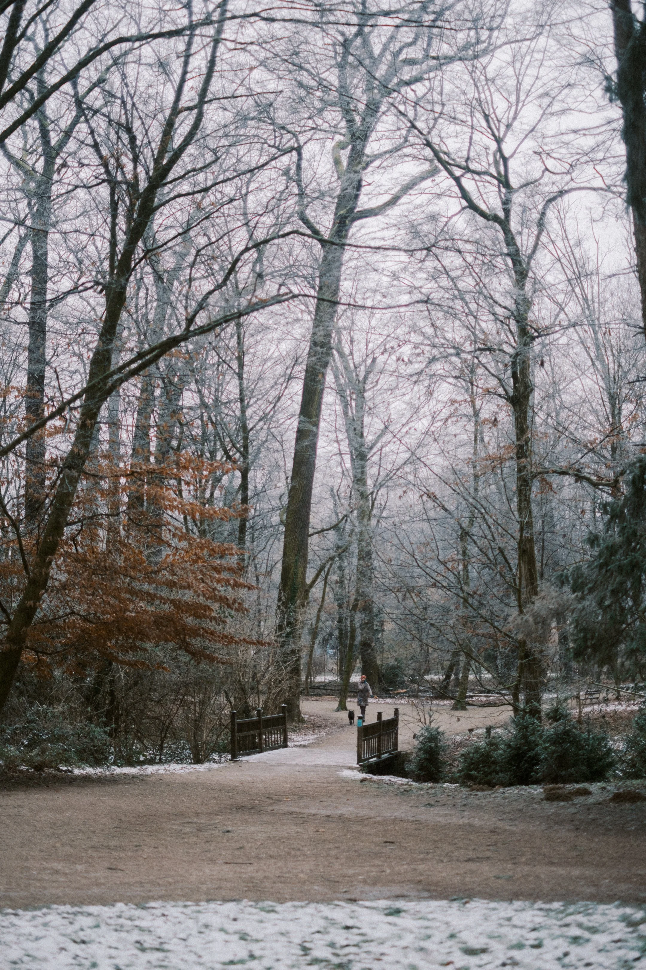 Maksimir-24.jpg