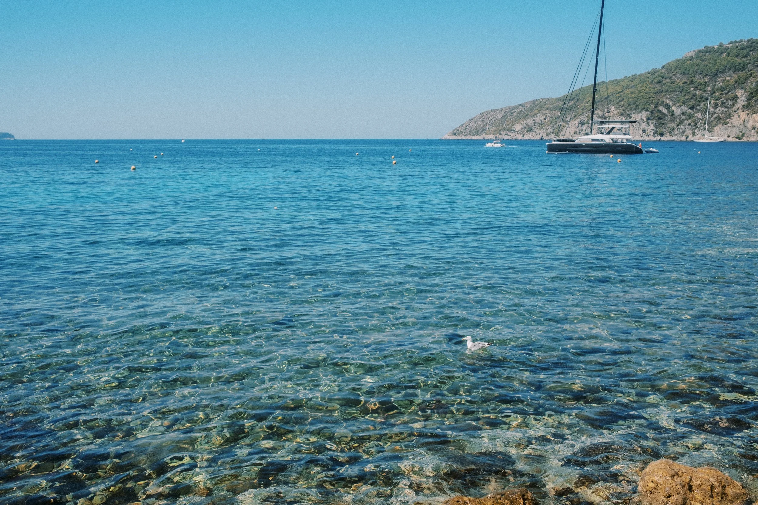 DSCF7984.jpg