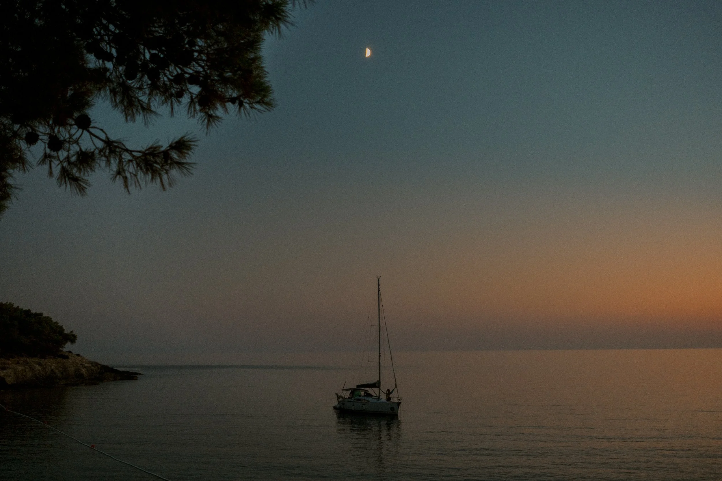 DSCF8265.jpg