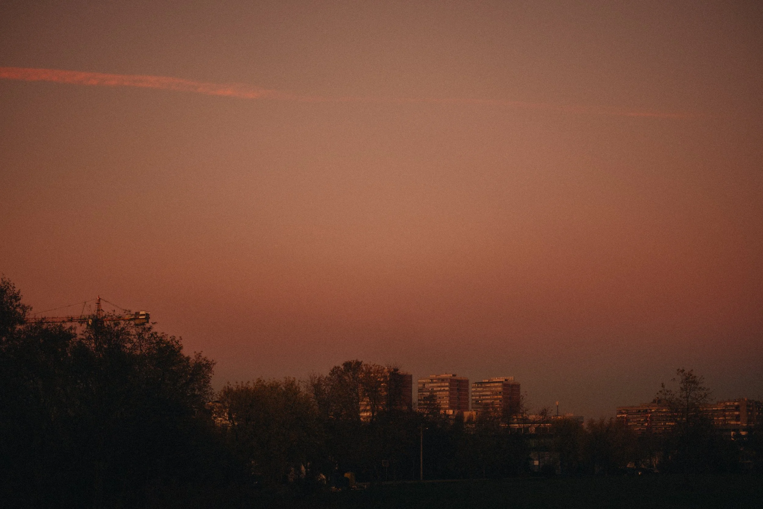 DSCF1429.jpg