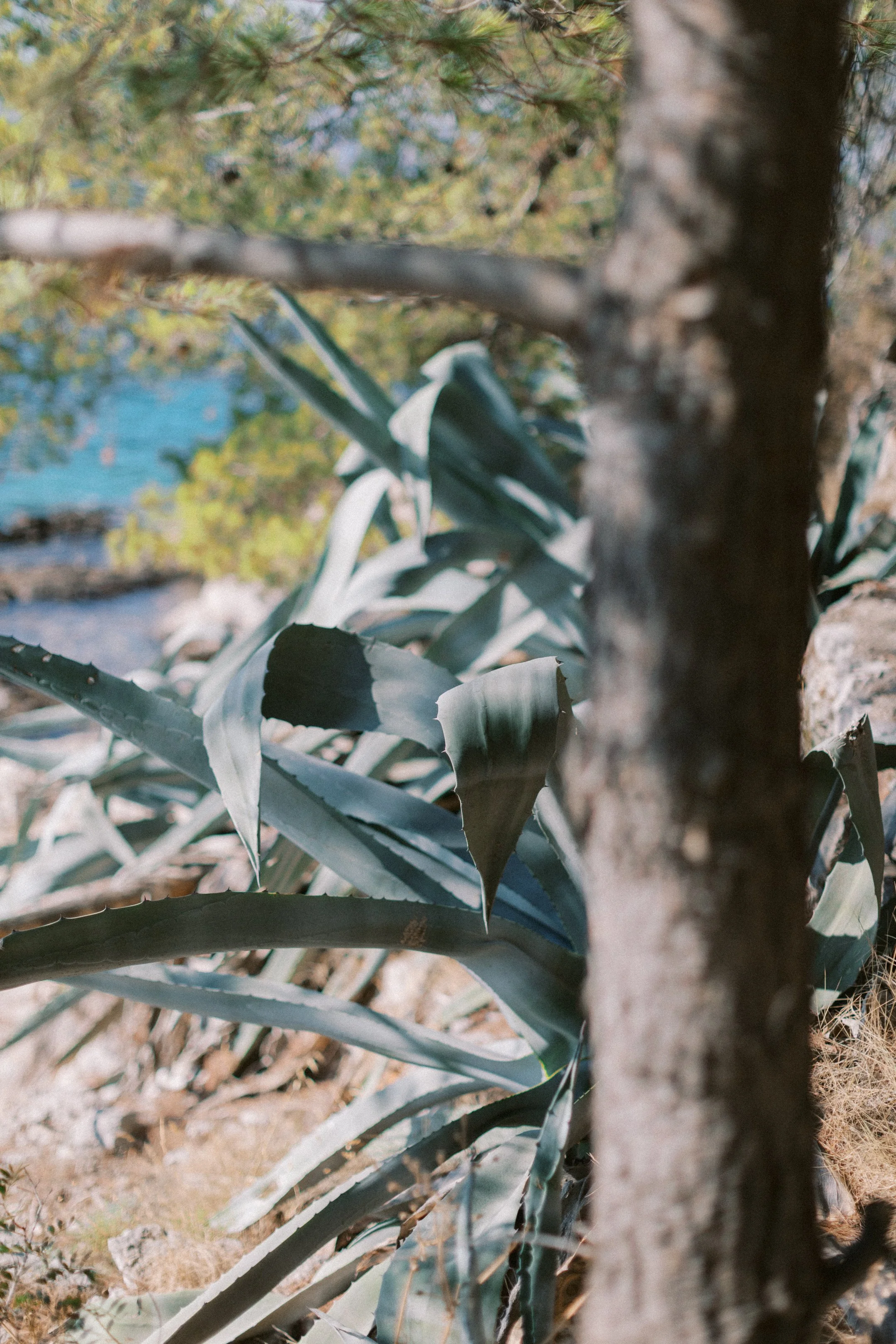 hvar_new-121.jpg