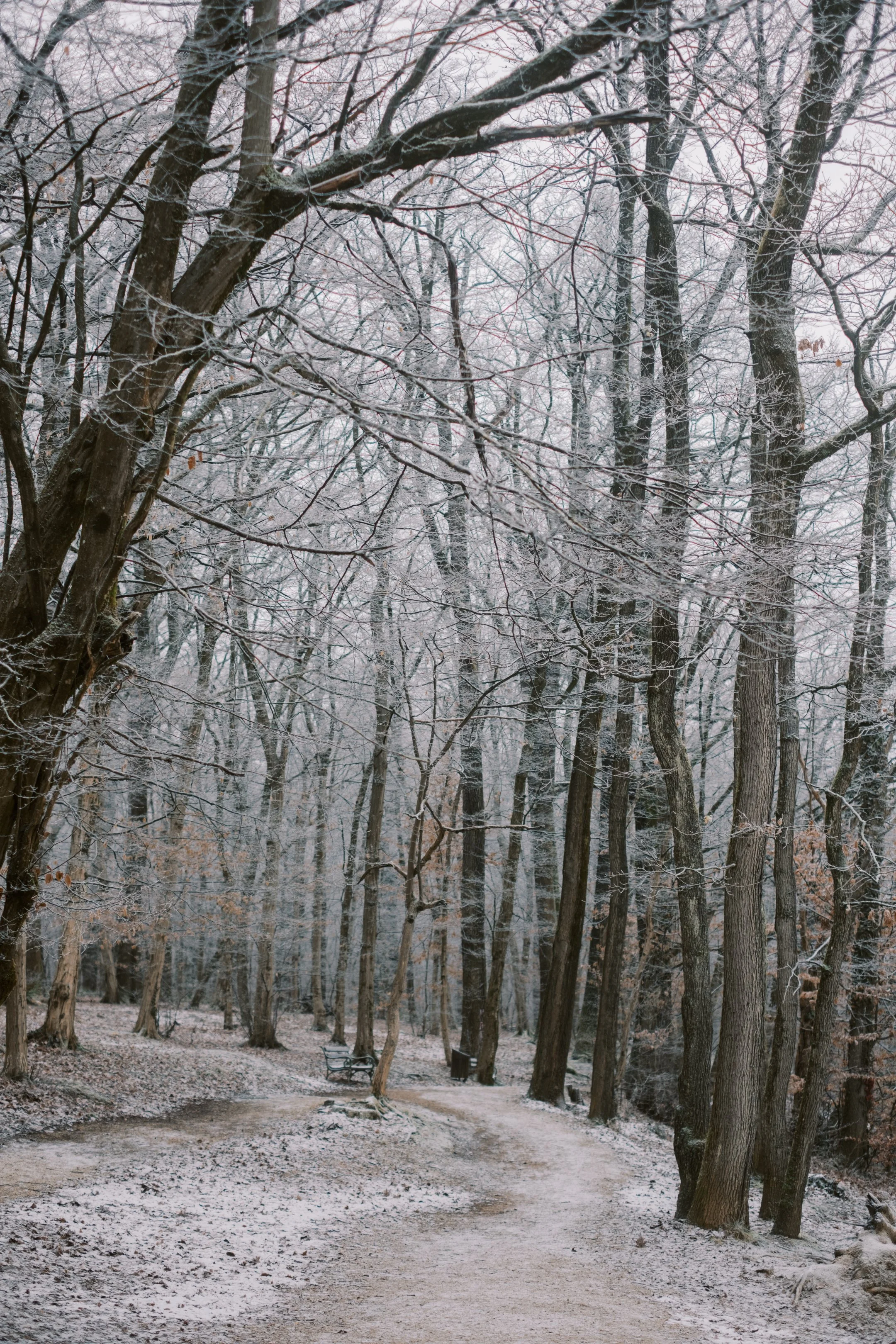Maksimir-55.jpg