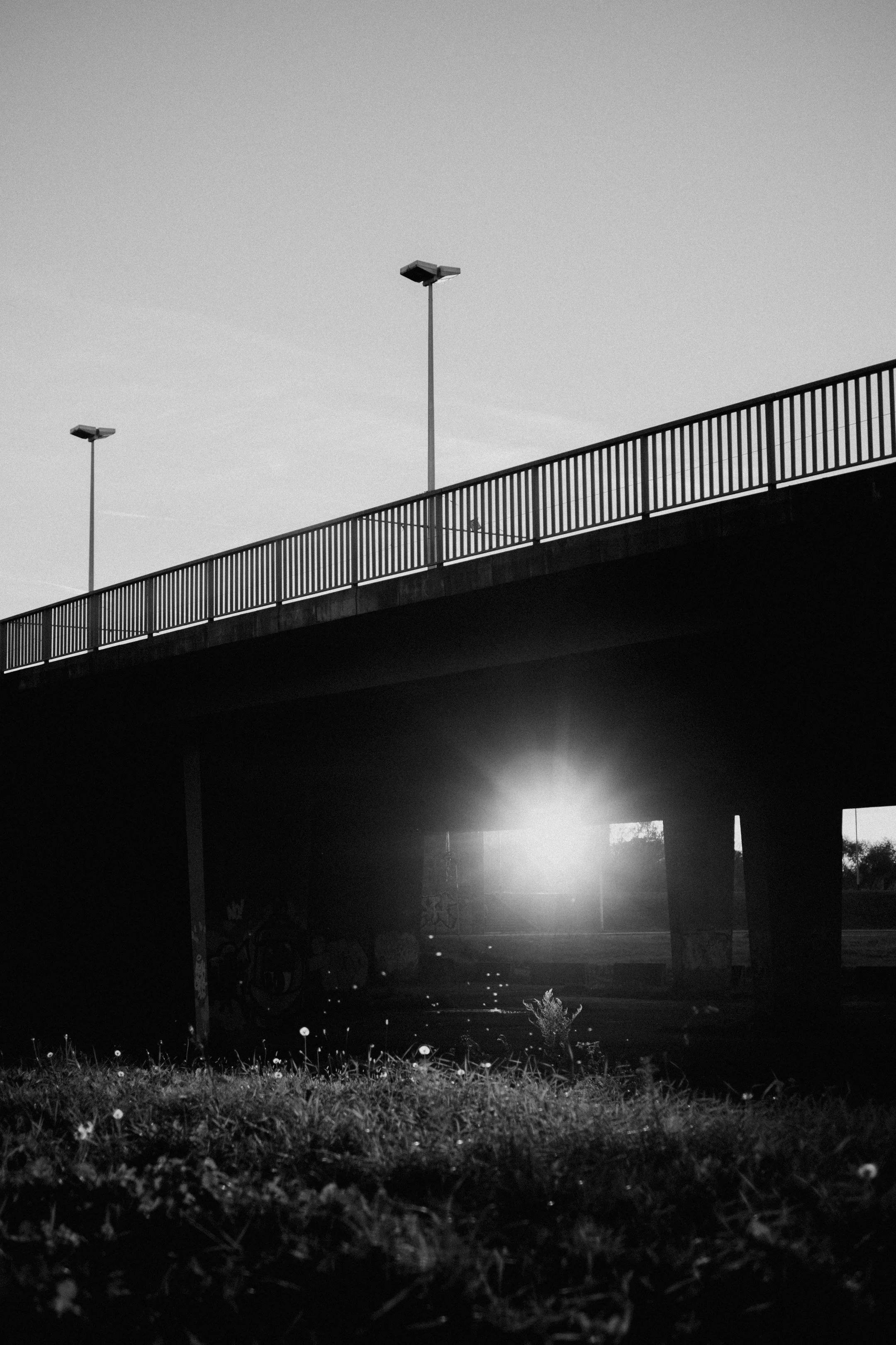 DSCF1396.jpg