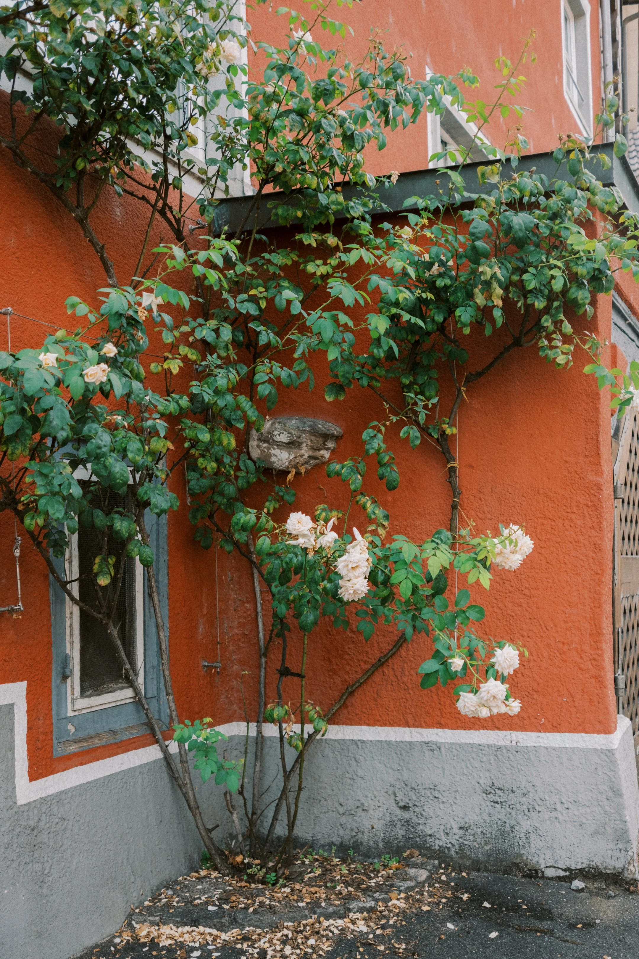 Uberlingen streets-182.jpg