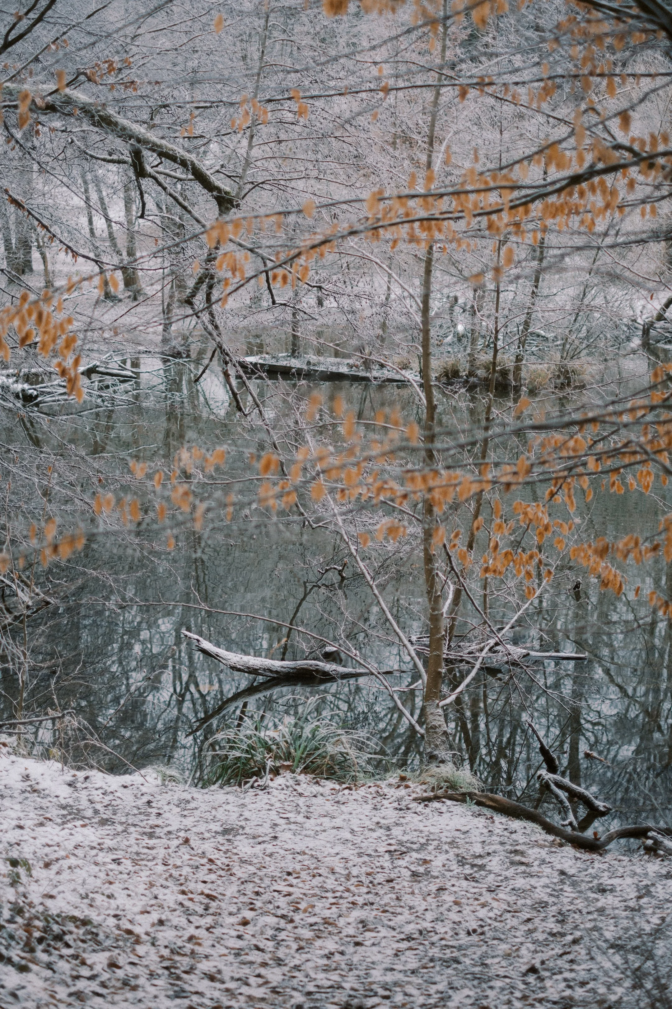 Maksimir-86.jpg