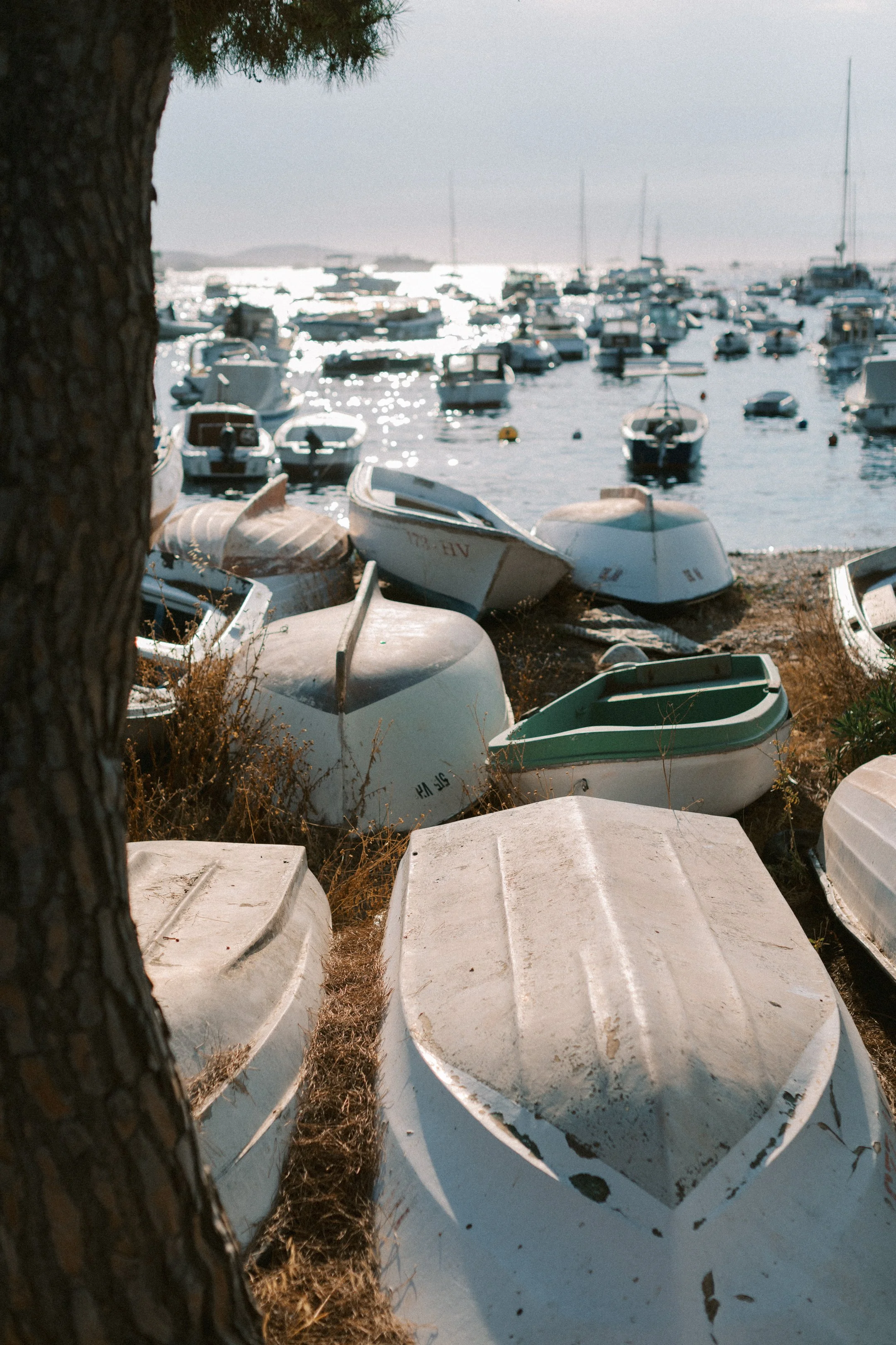hvar_new-197.jpg