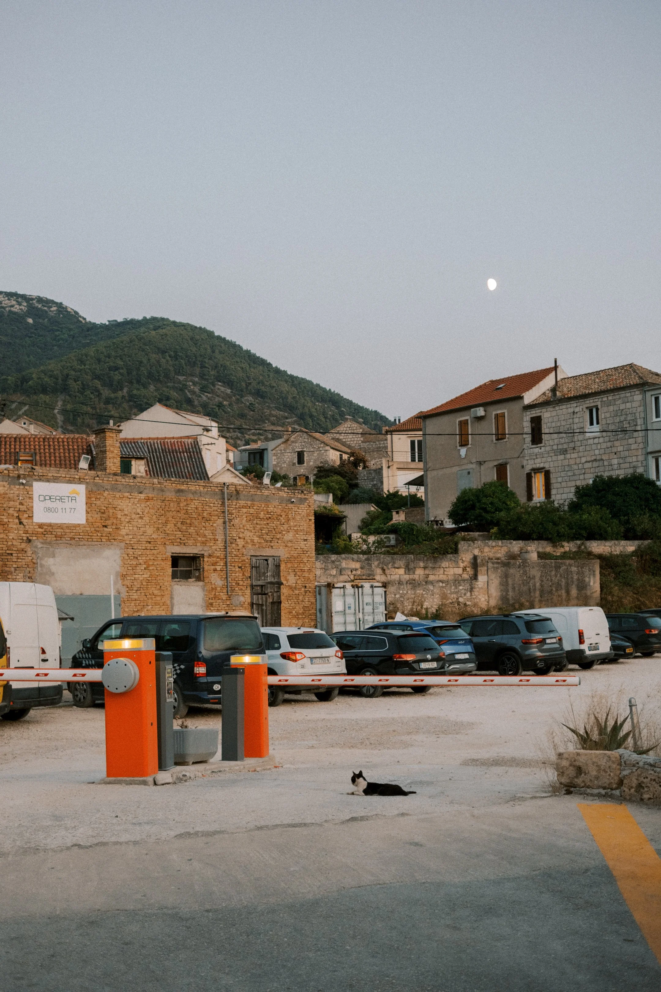 DSCF9222.jpg