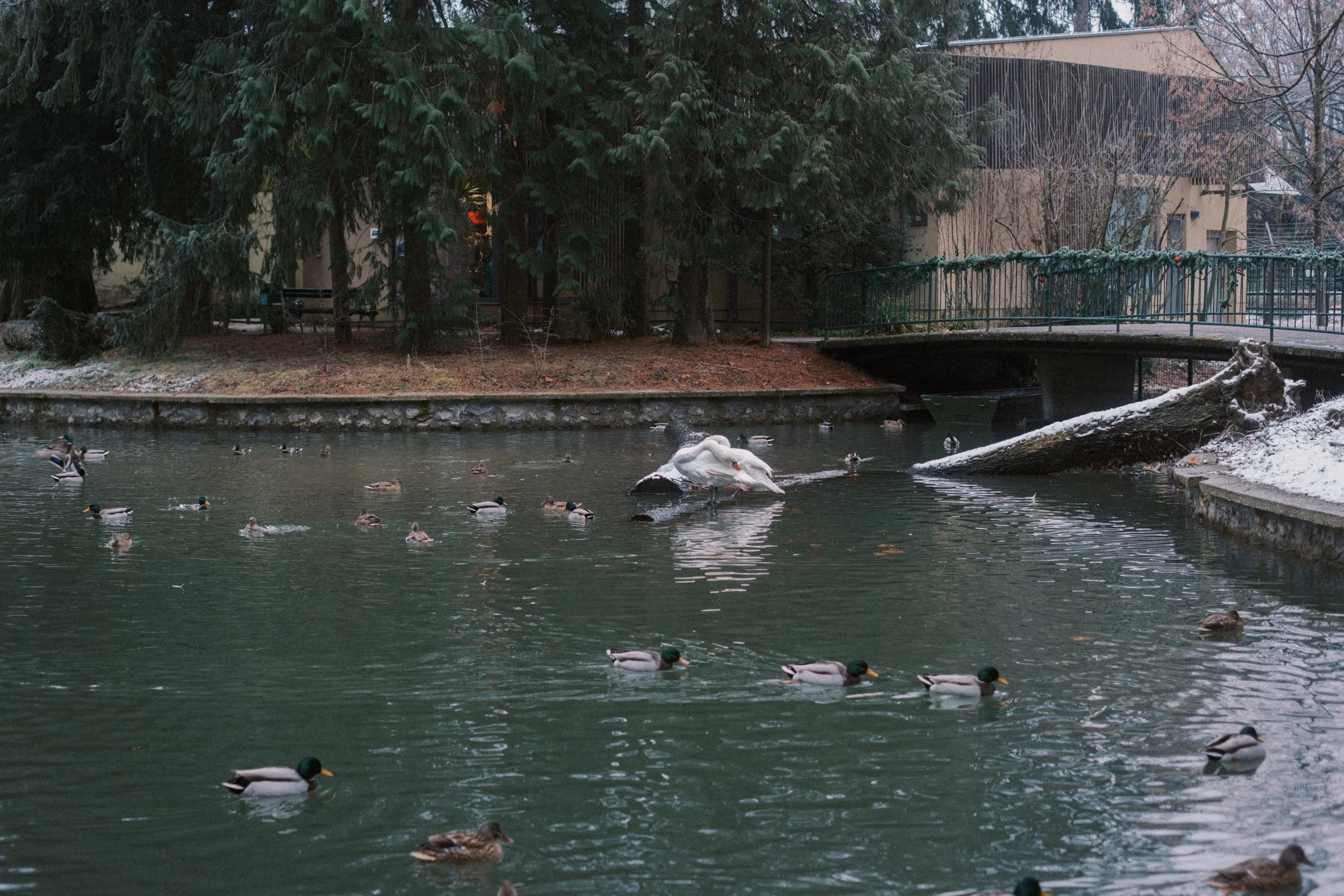 Maksimir-108.jpg
