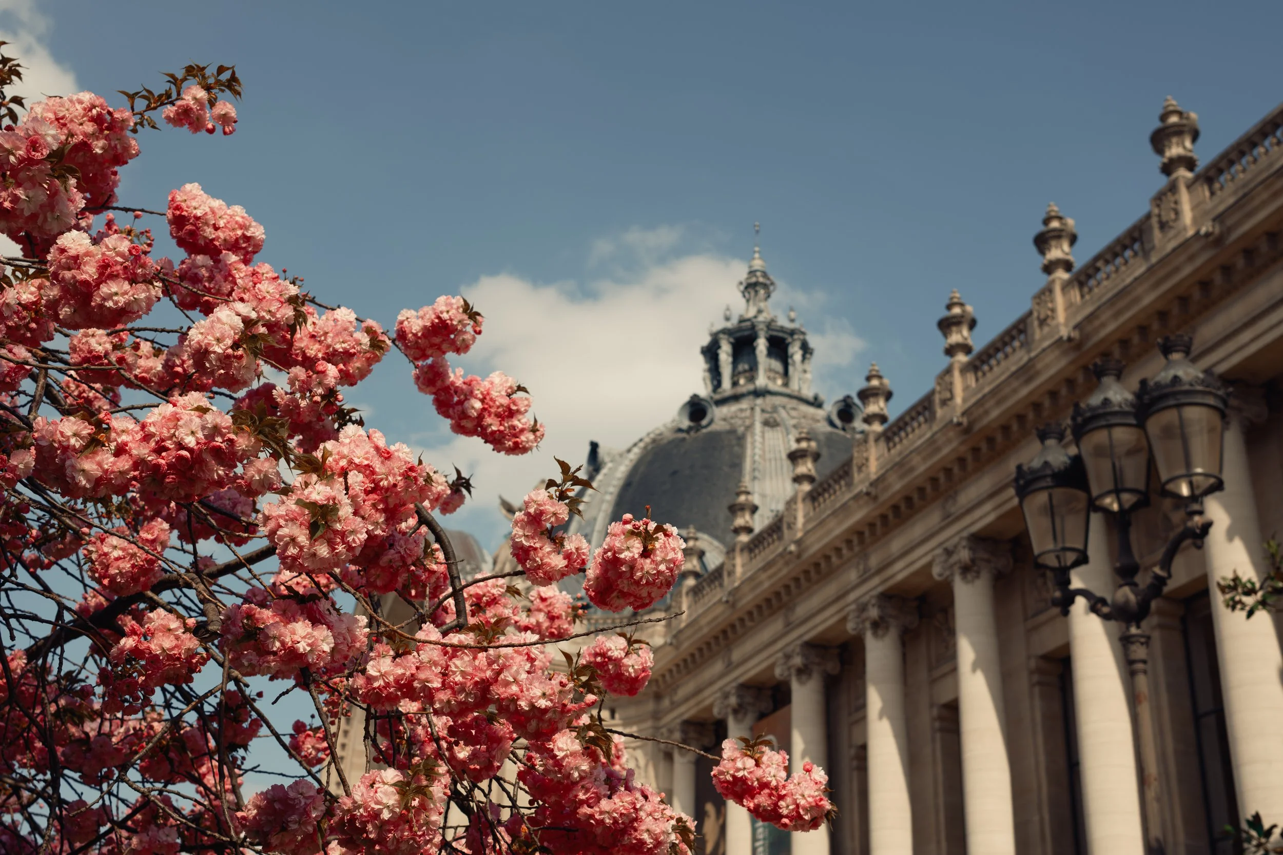 paris_streets-167.jpg