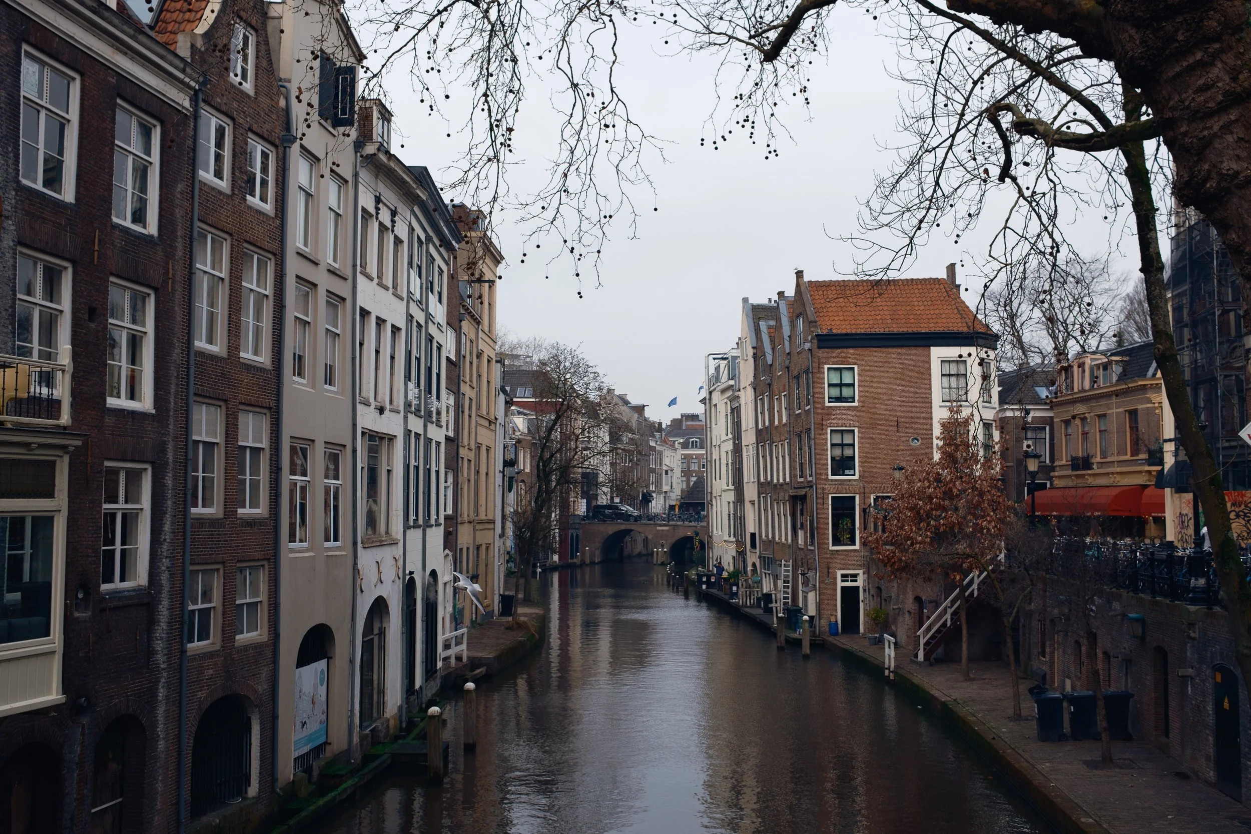 amsterdam_utrecht-91.jpg