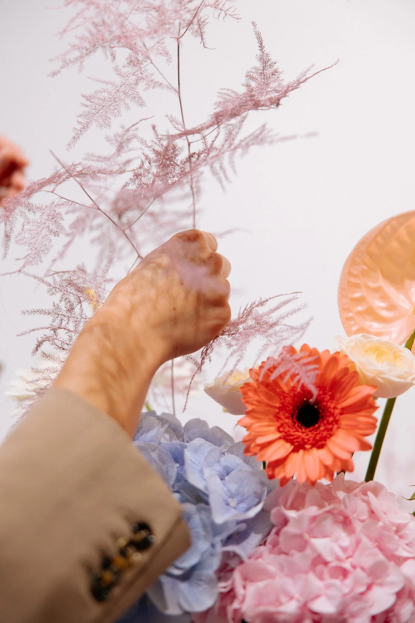 Journal_Tulip Studio_Martina Movric-4.jpg