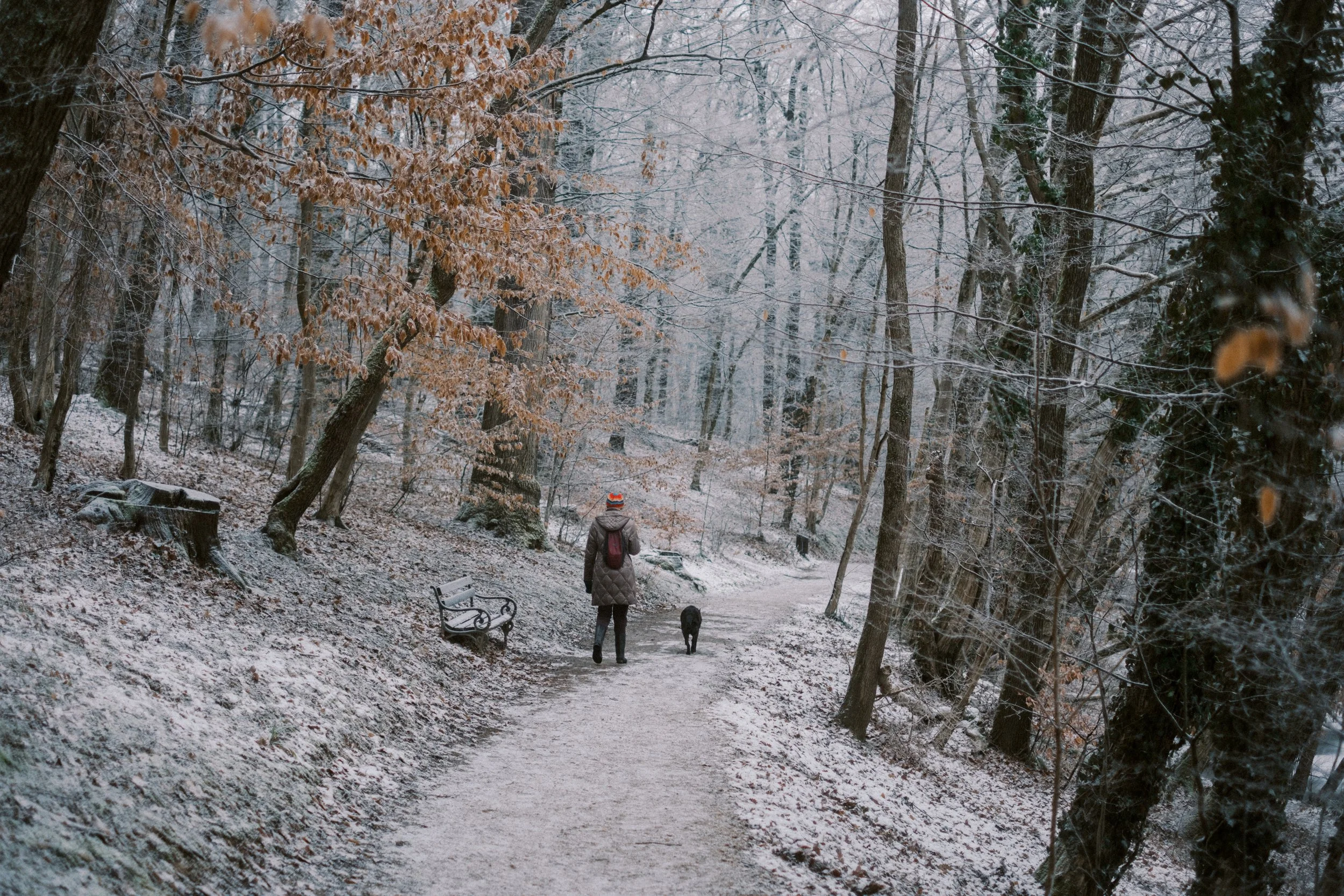 Maksimir-81.jpg