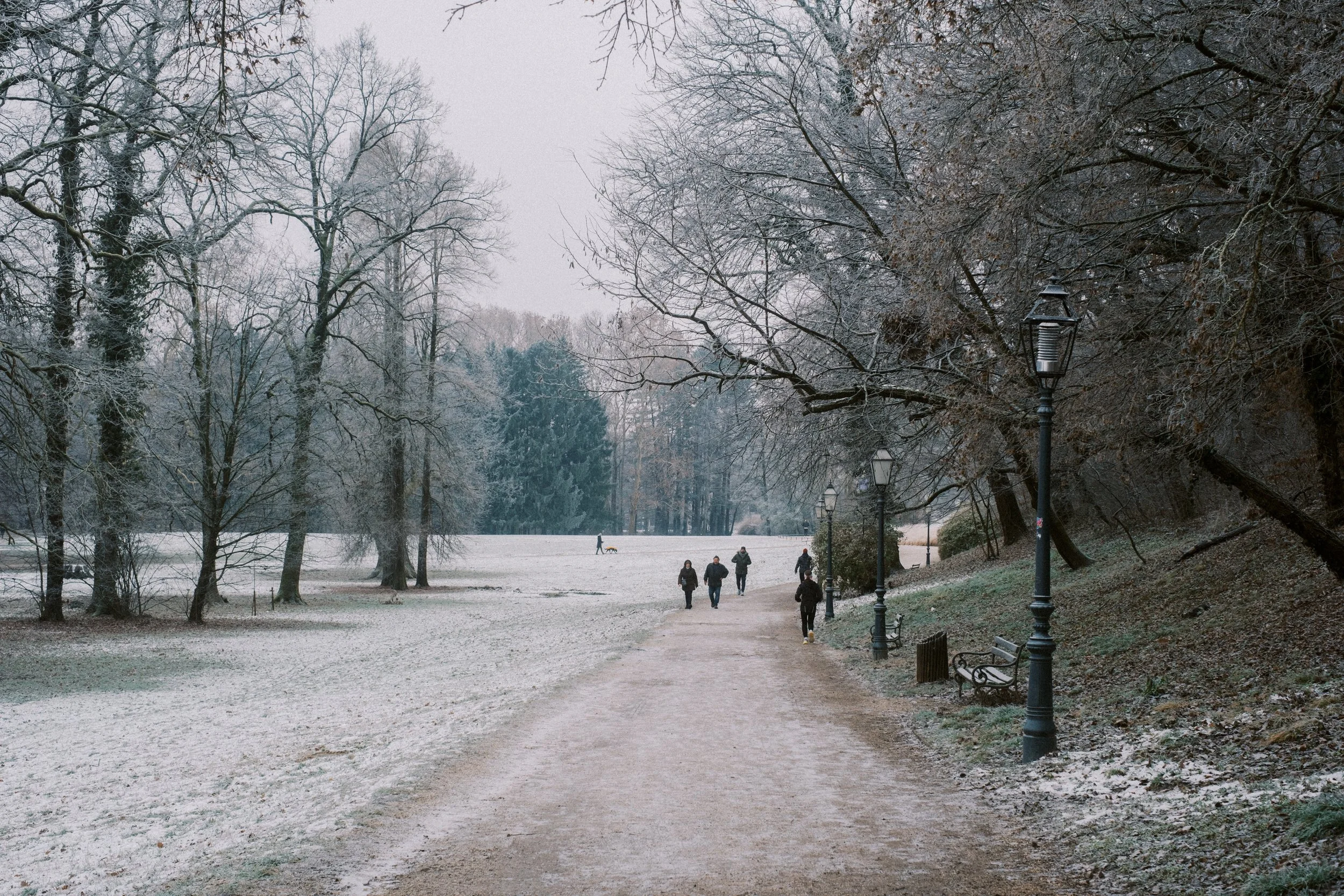 Maksimir-51.jpg