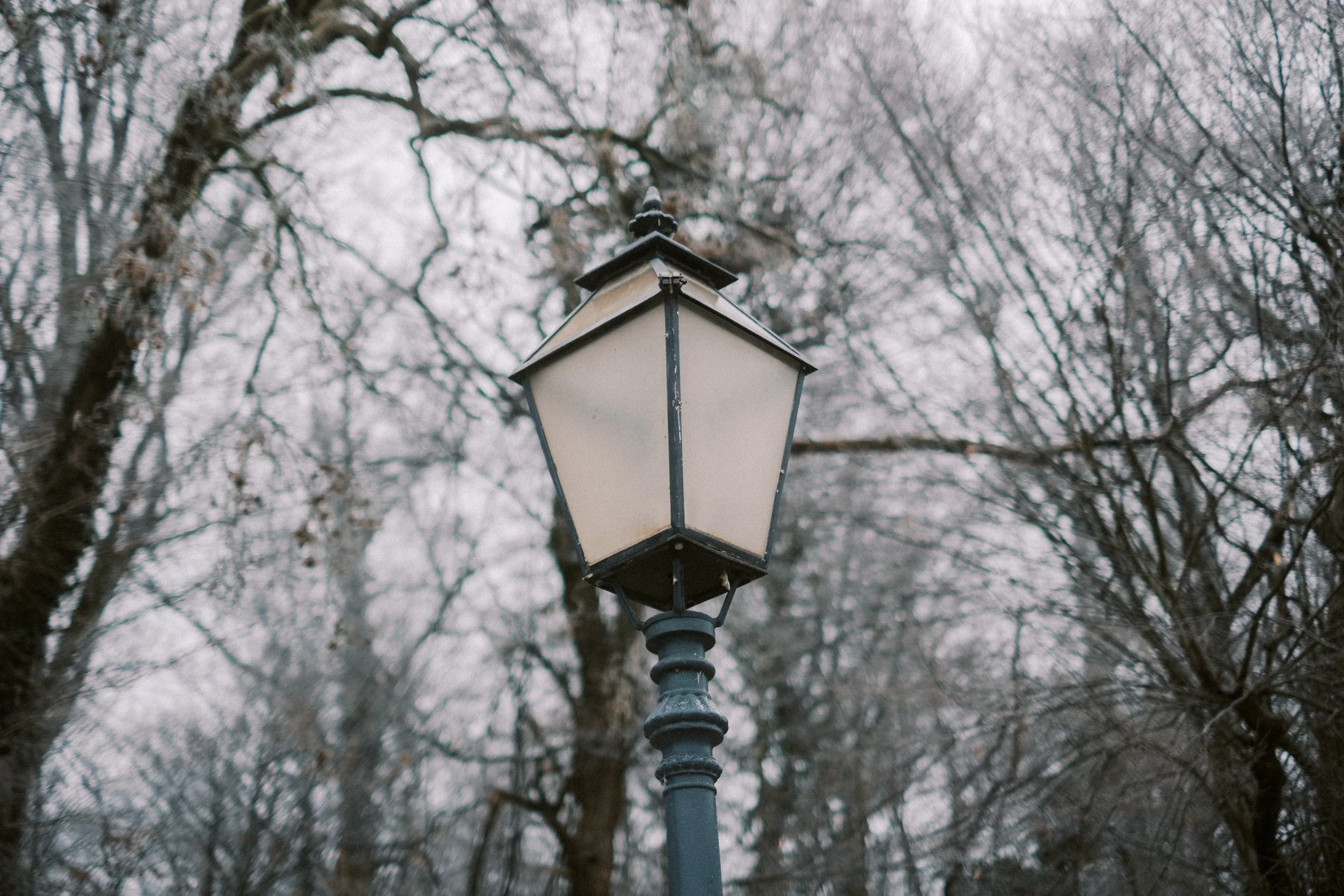Maksimir-48.jpg