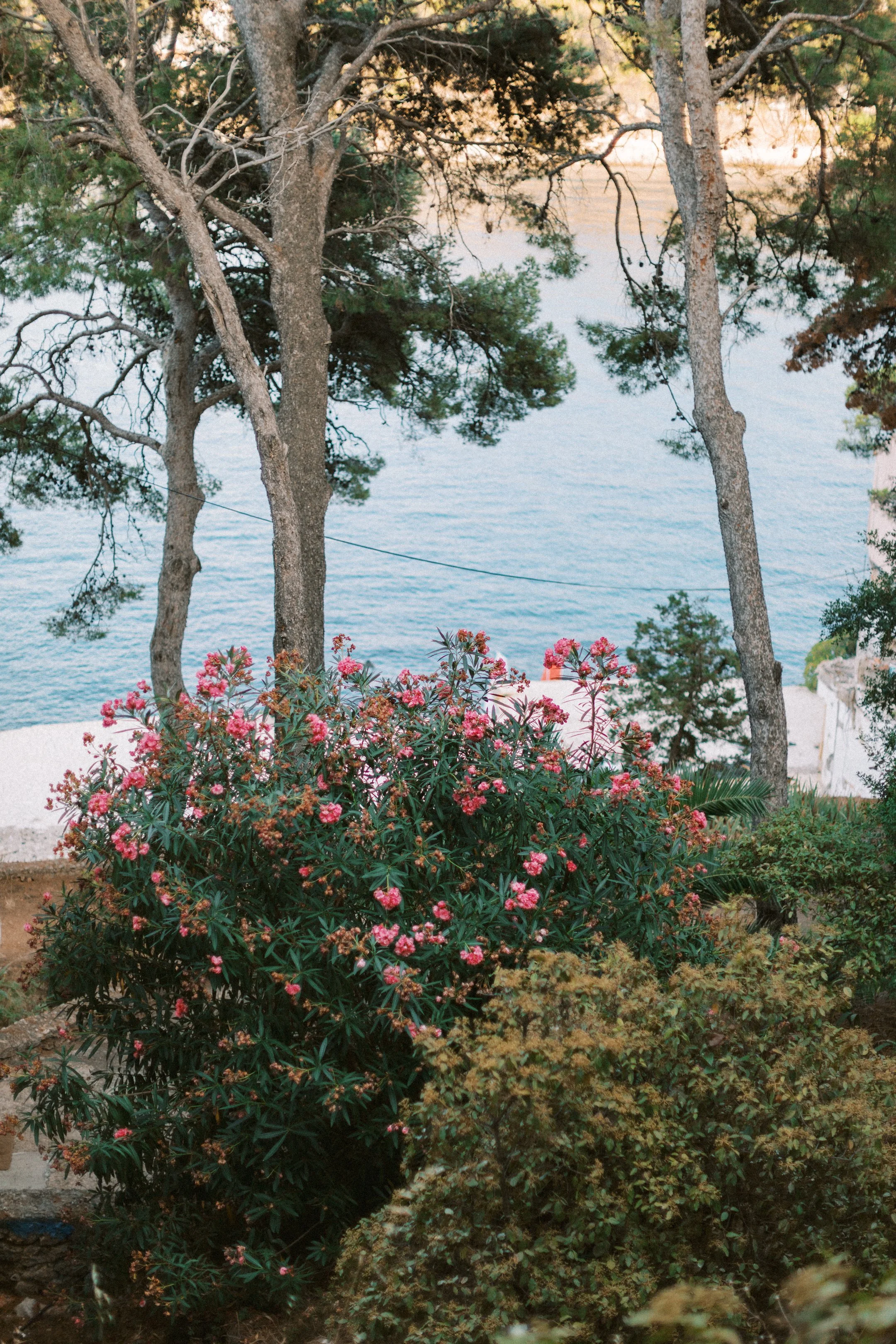 hvar_new-55.jpg