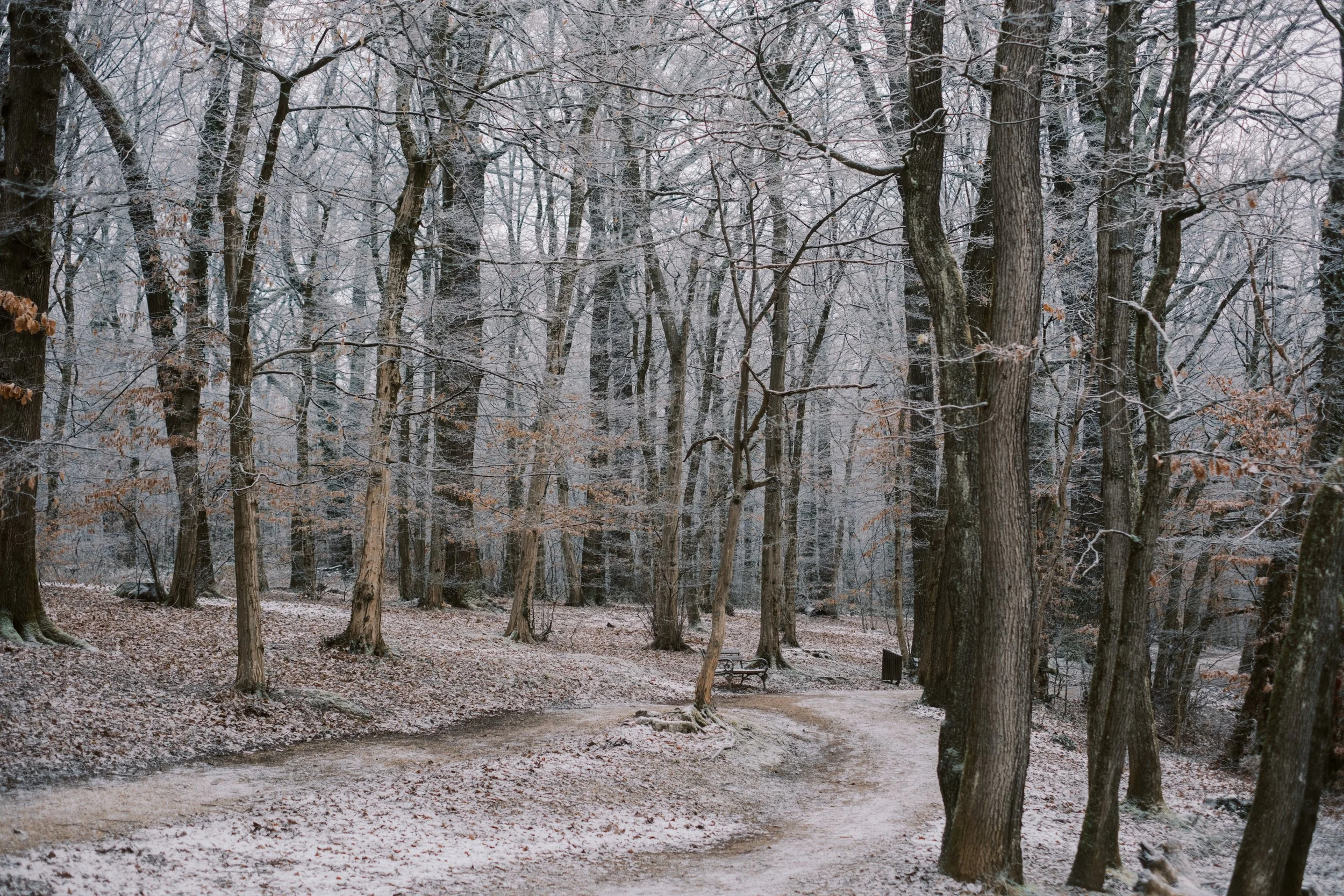 Maksimir-59.jpg