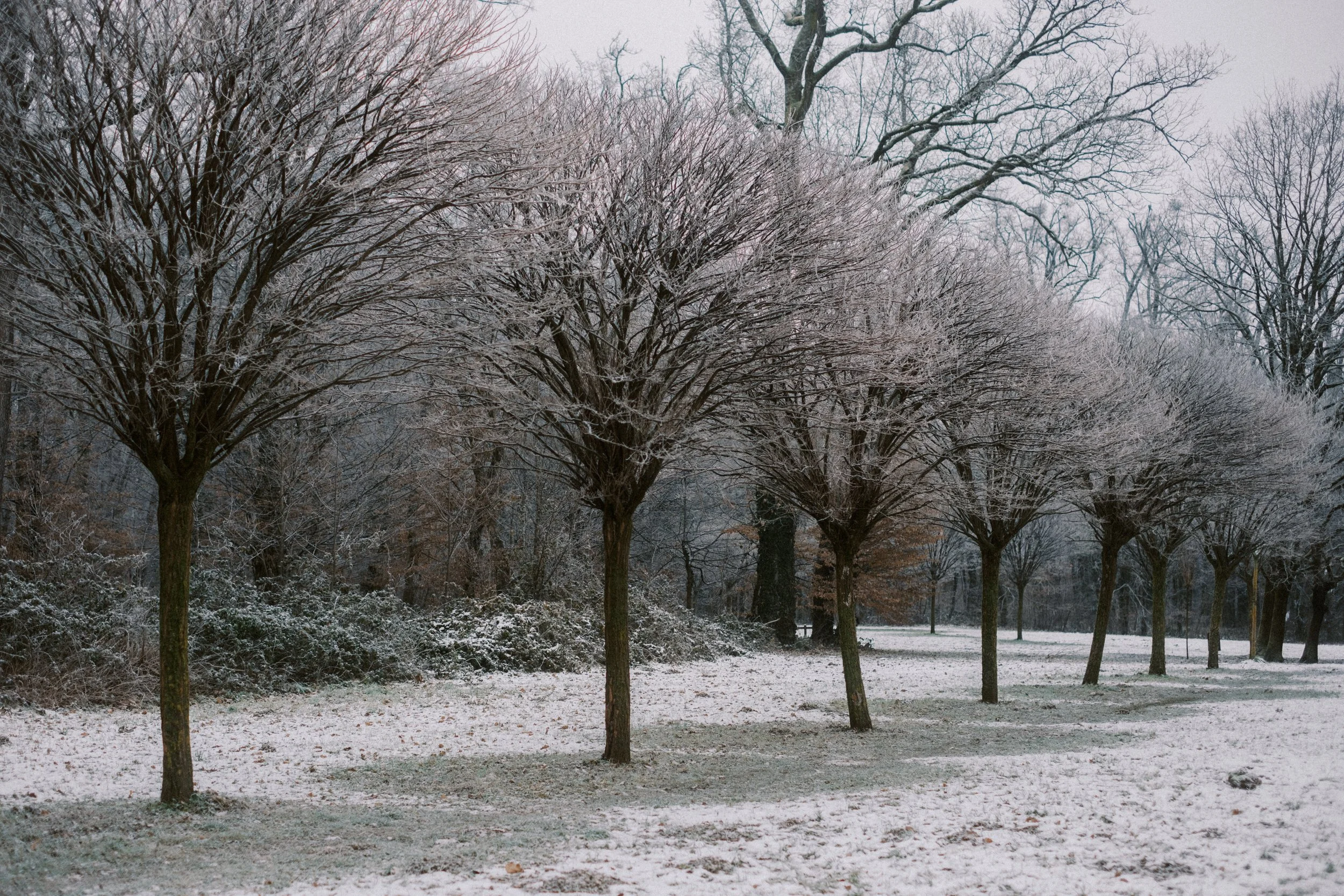 Maksimir-100.jpg