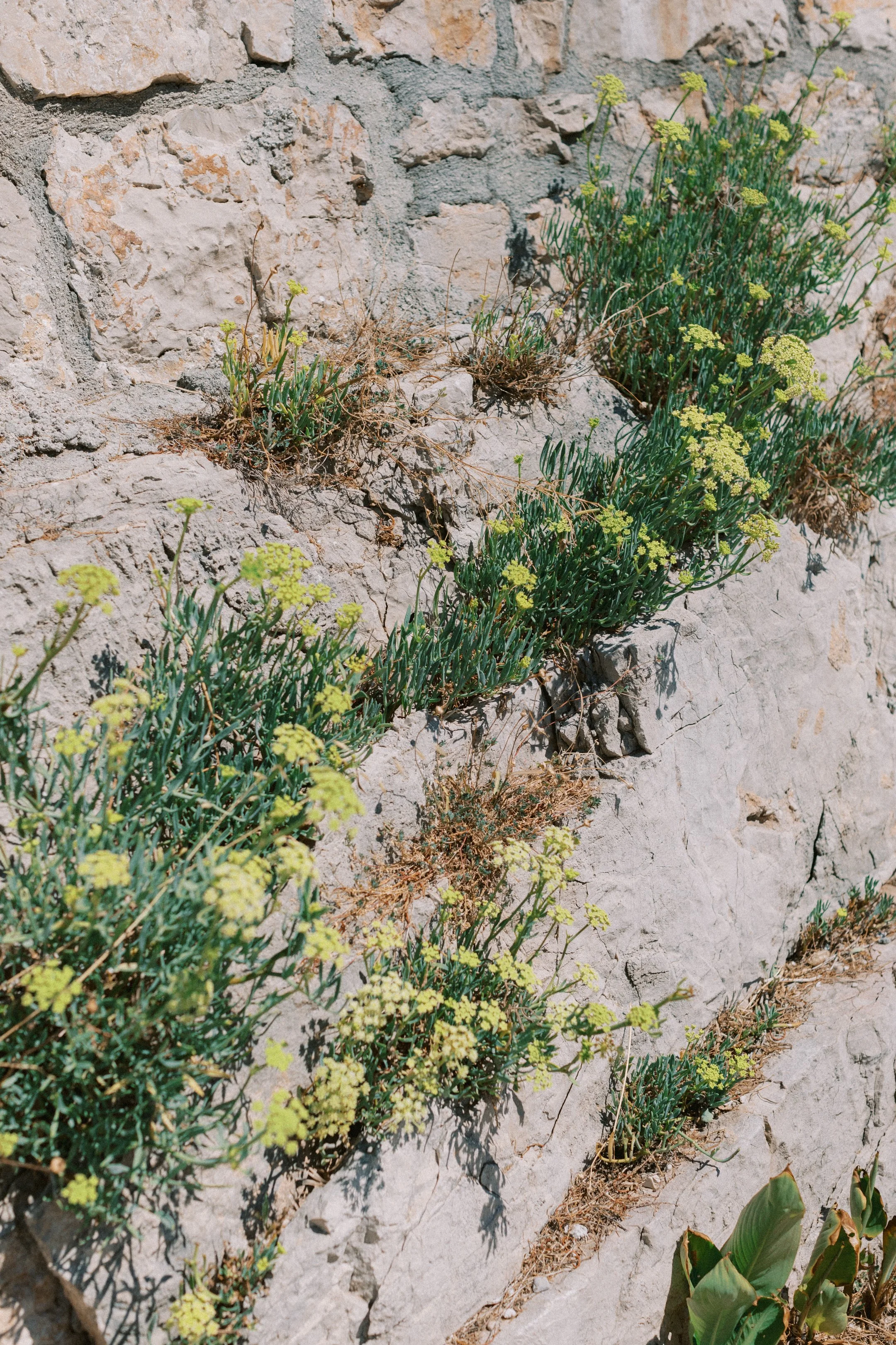 hvar_new-166.jpg