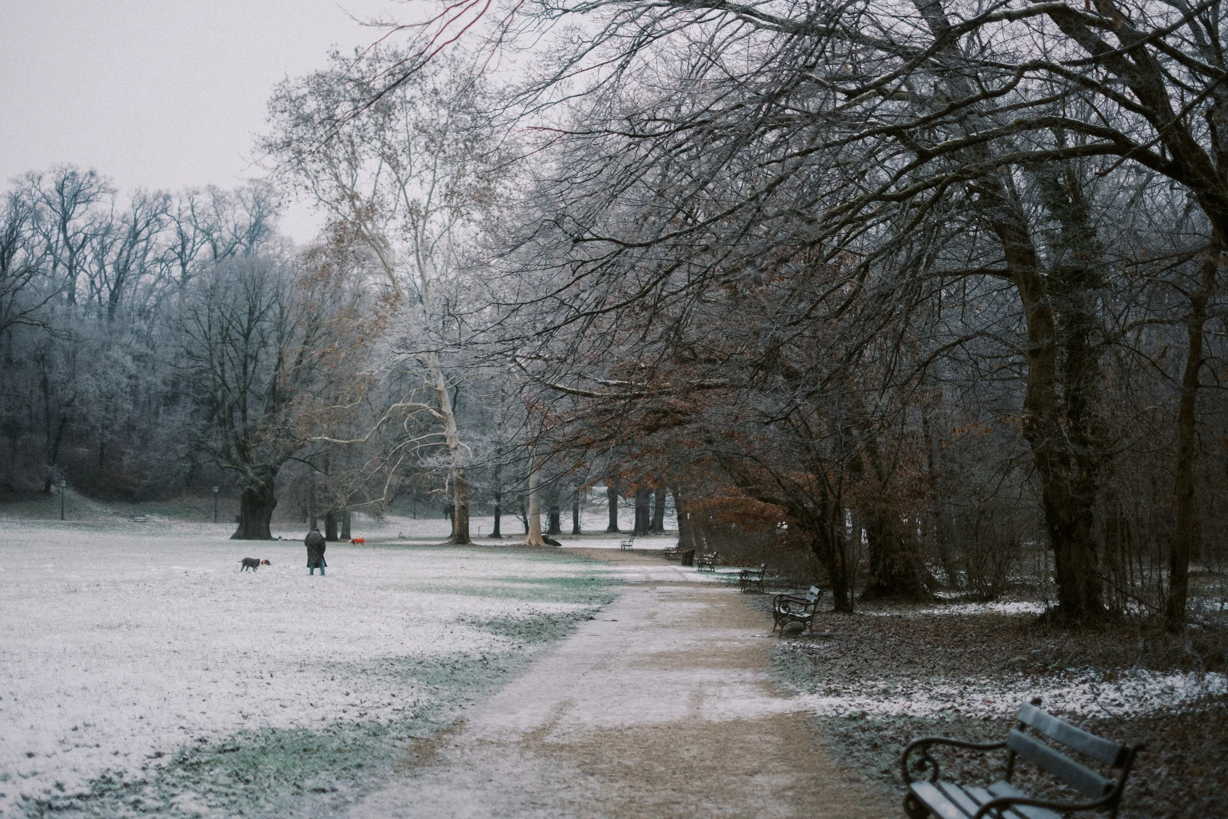 Maksimir-33.jpg