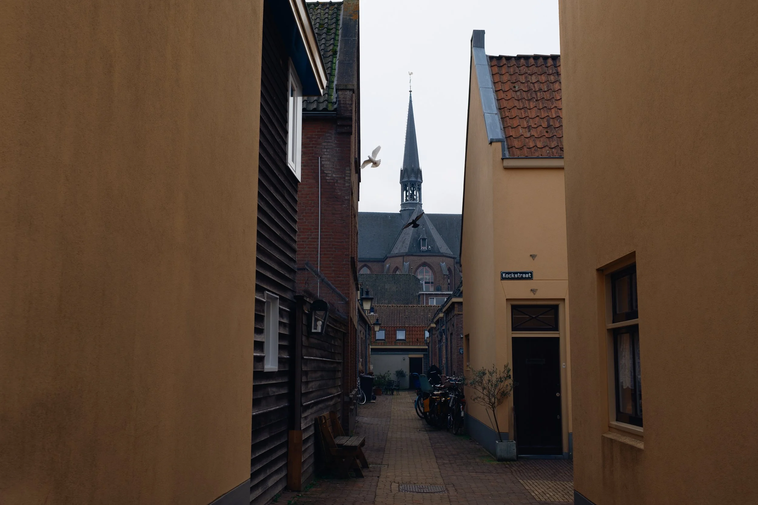amsterdam_utrecht-108.jpg