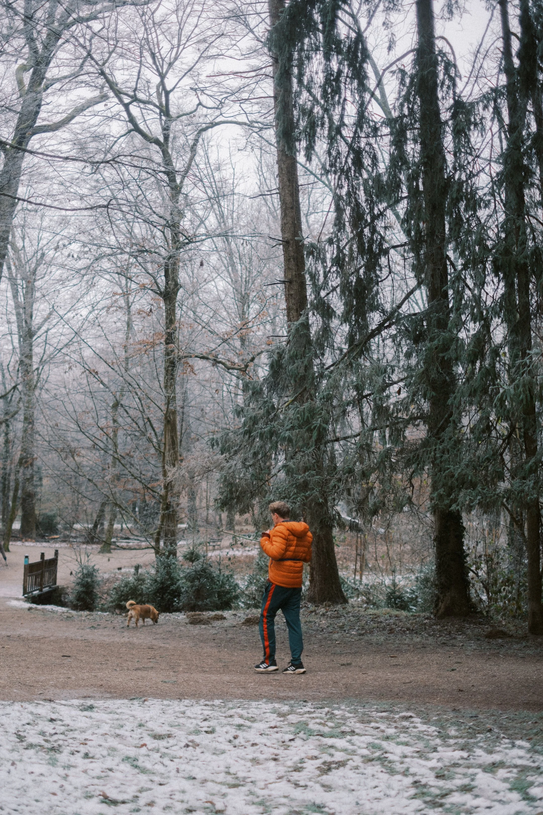 Maksimir-26.jpg