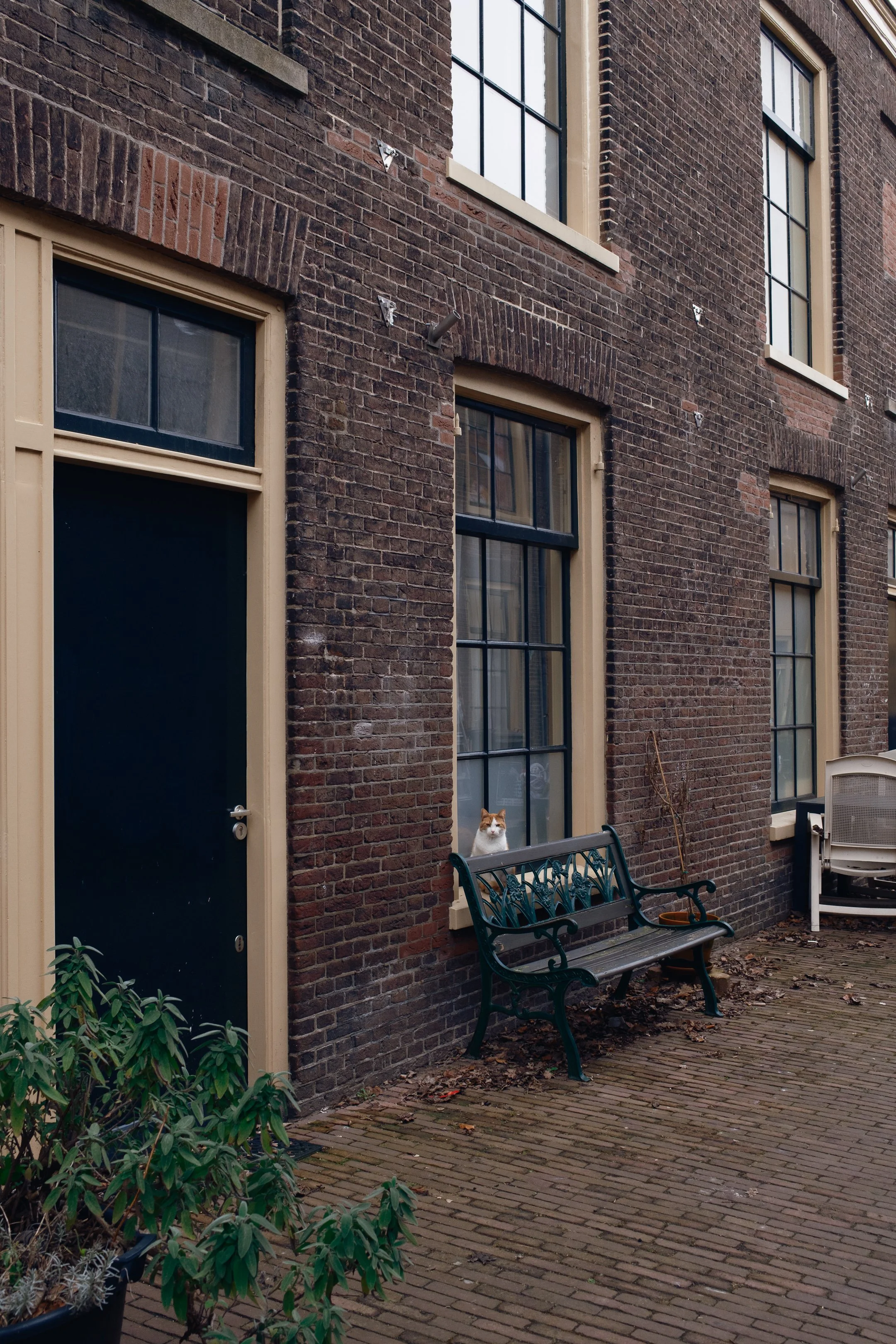 amsterdam_utrecht-113.jpg
