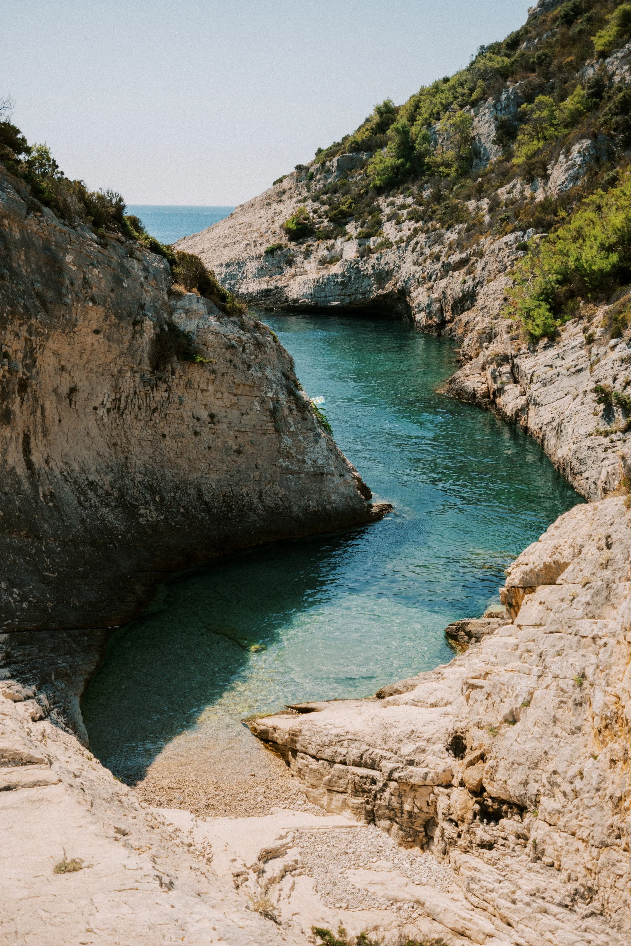 DSCF8890.jpg