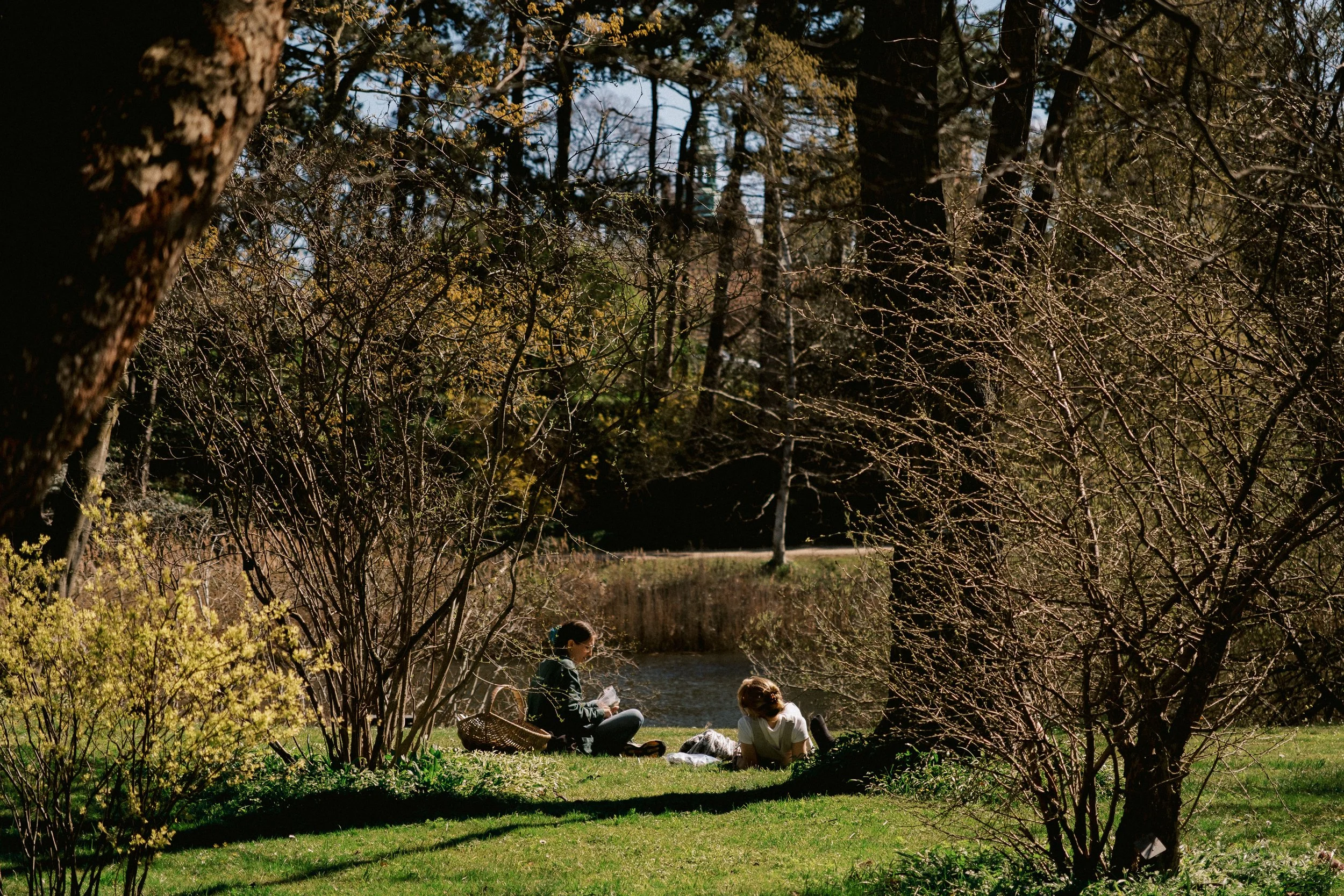 copenhagen-104.jpg