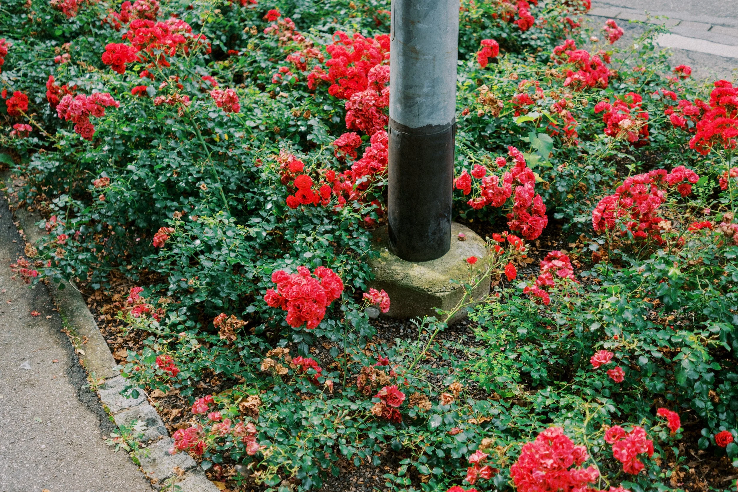 Uberlingen streets-16.jpg