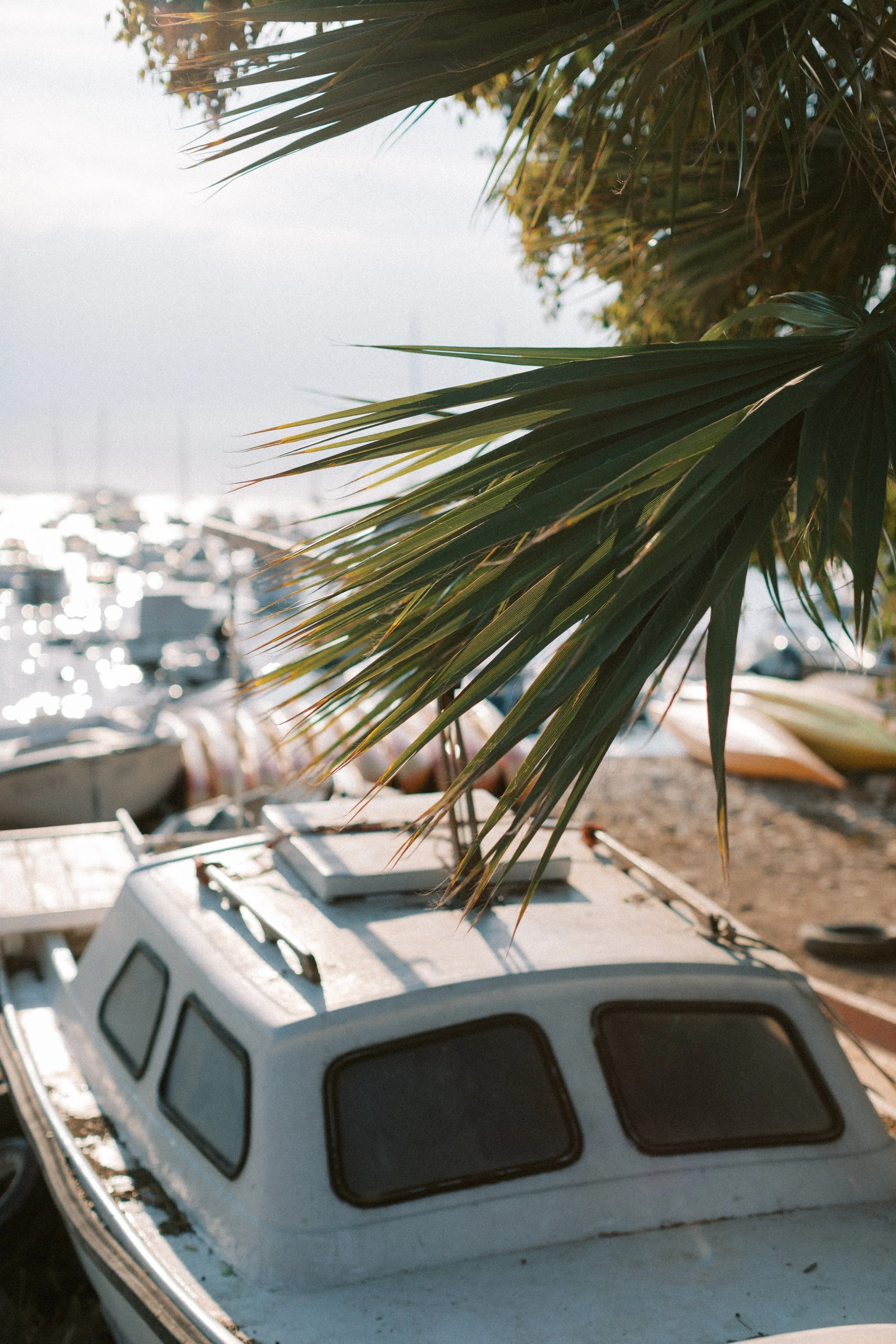 hvar_new-198.jpg