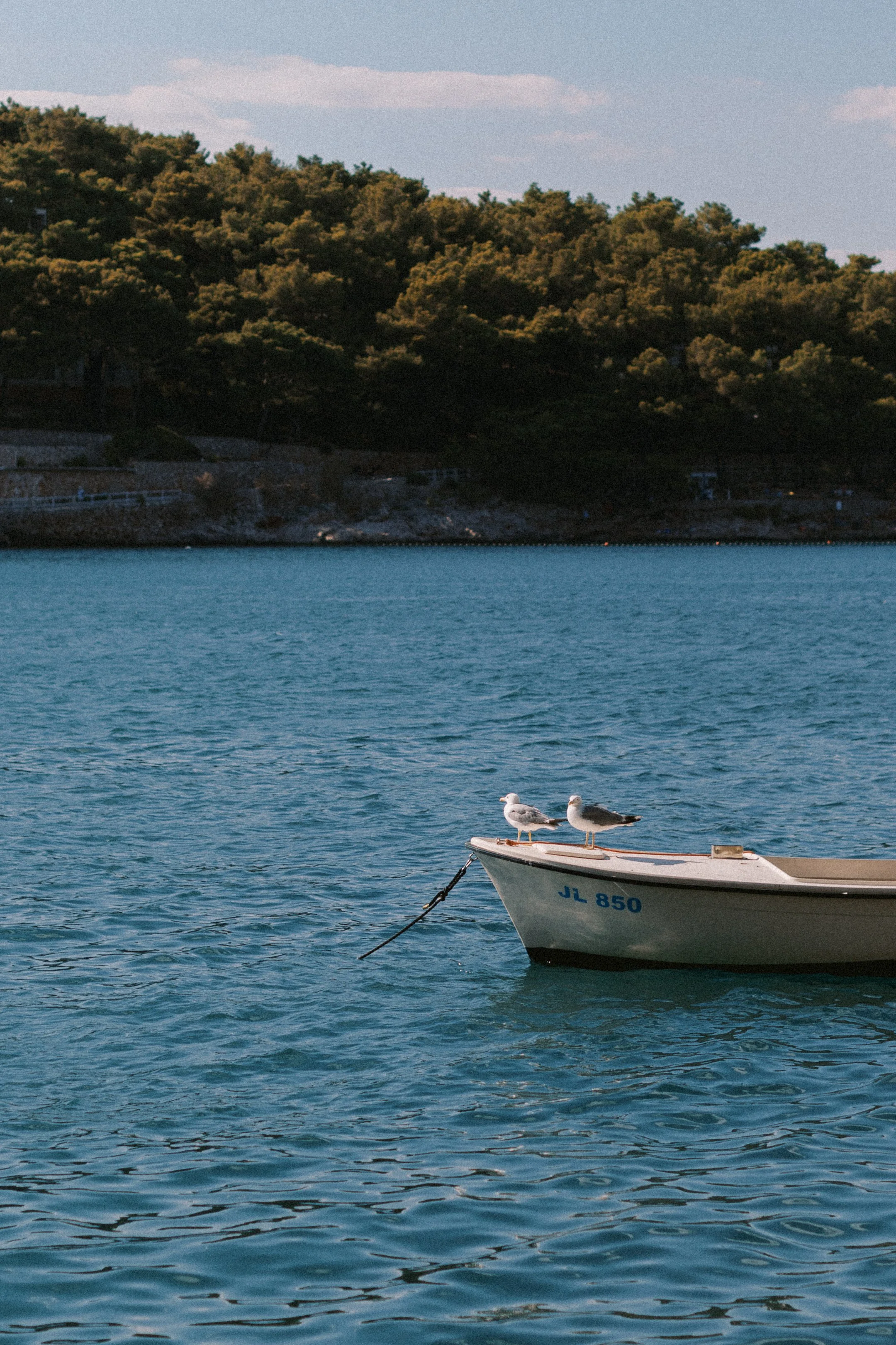 hvar_new-118.jpg
