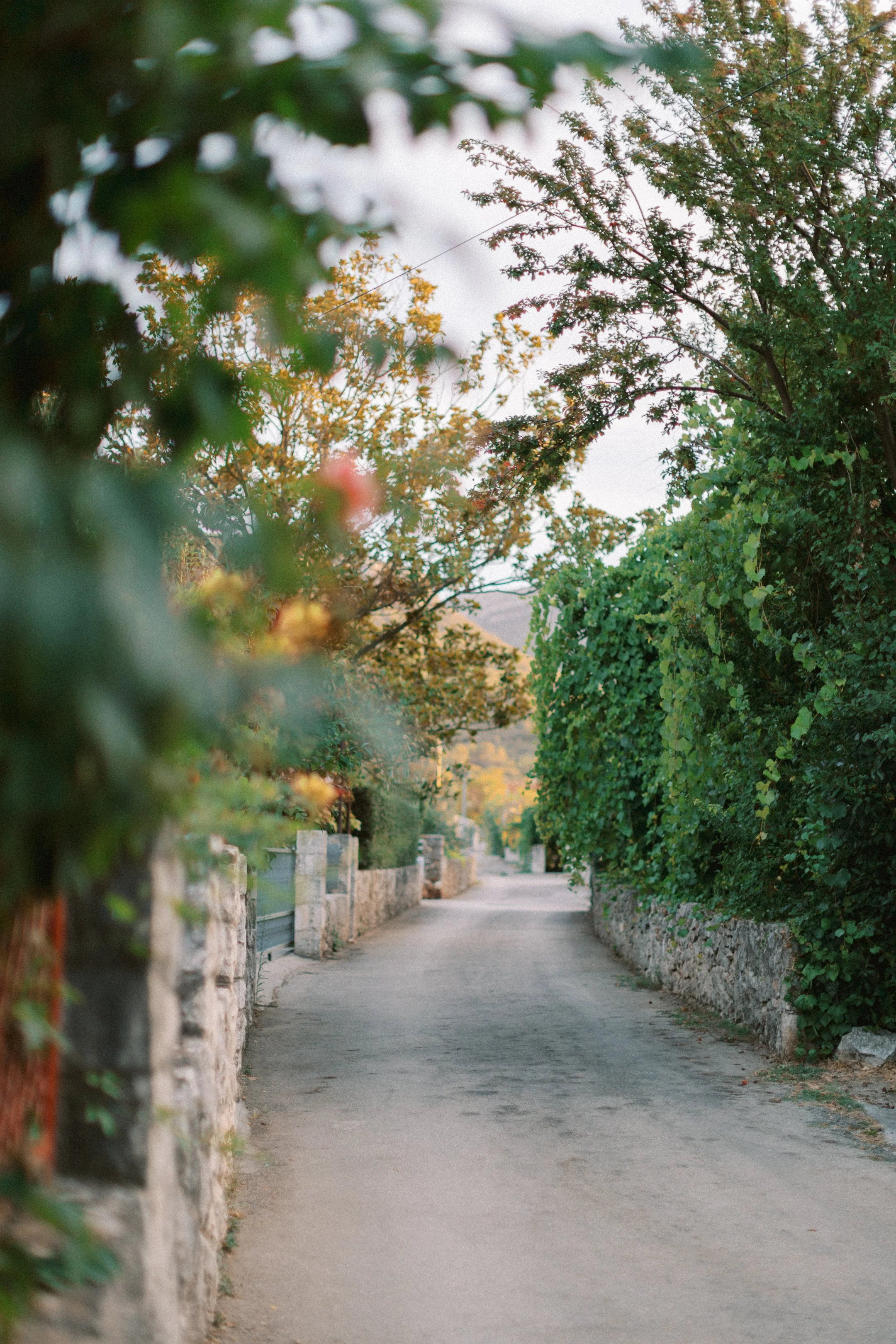 hvar_new-100.jpg