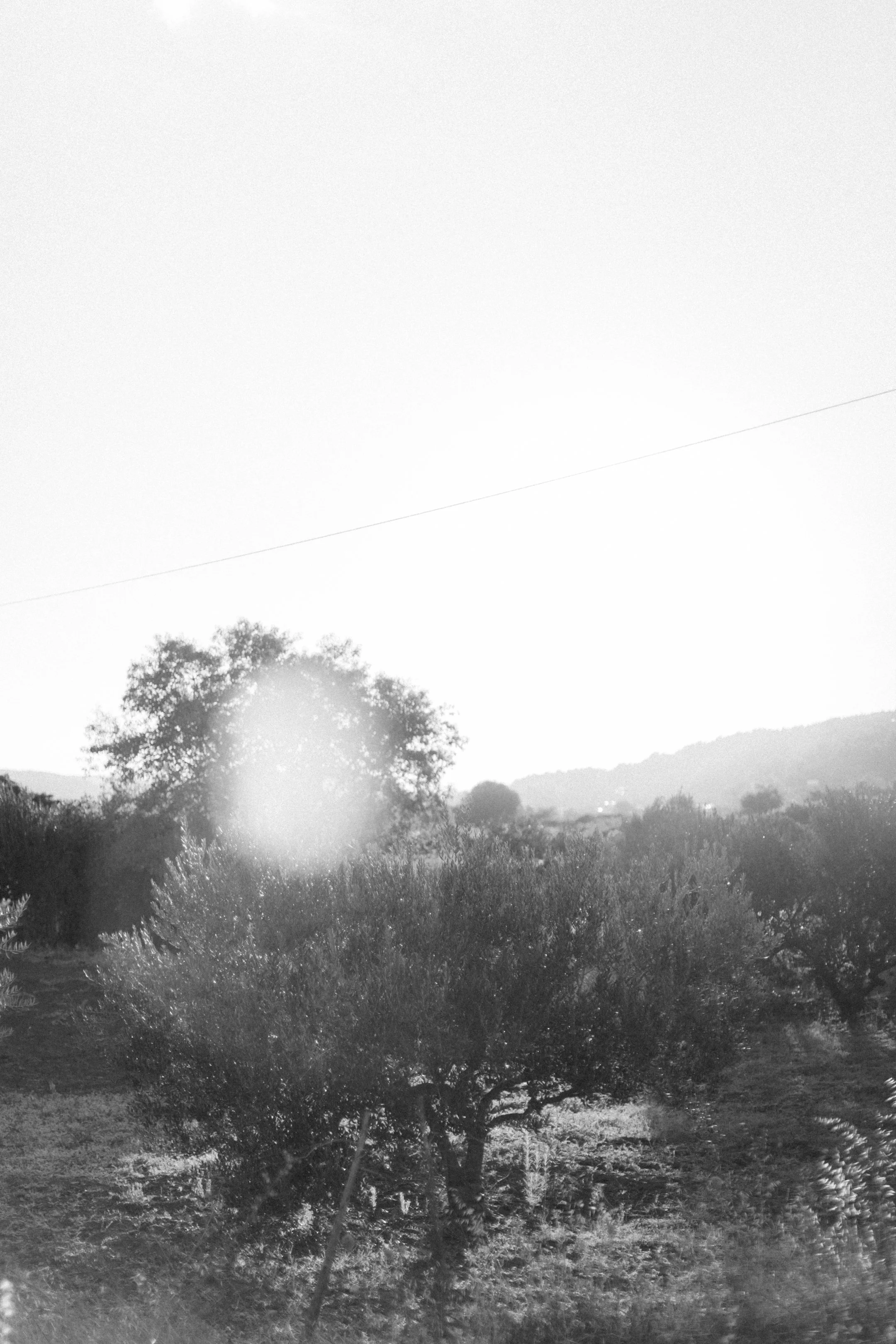 hvar_new-136.jpg