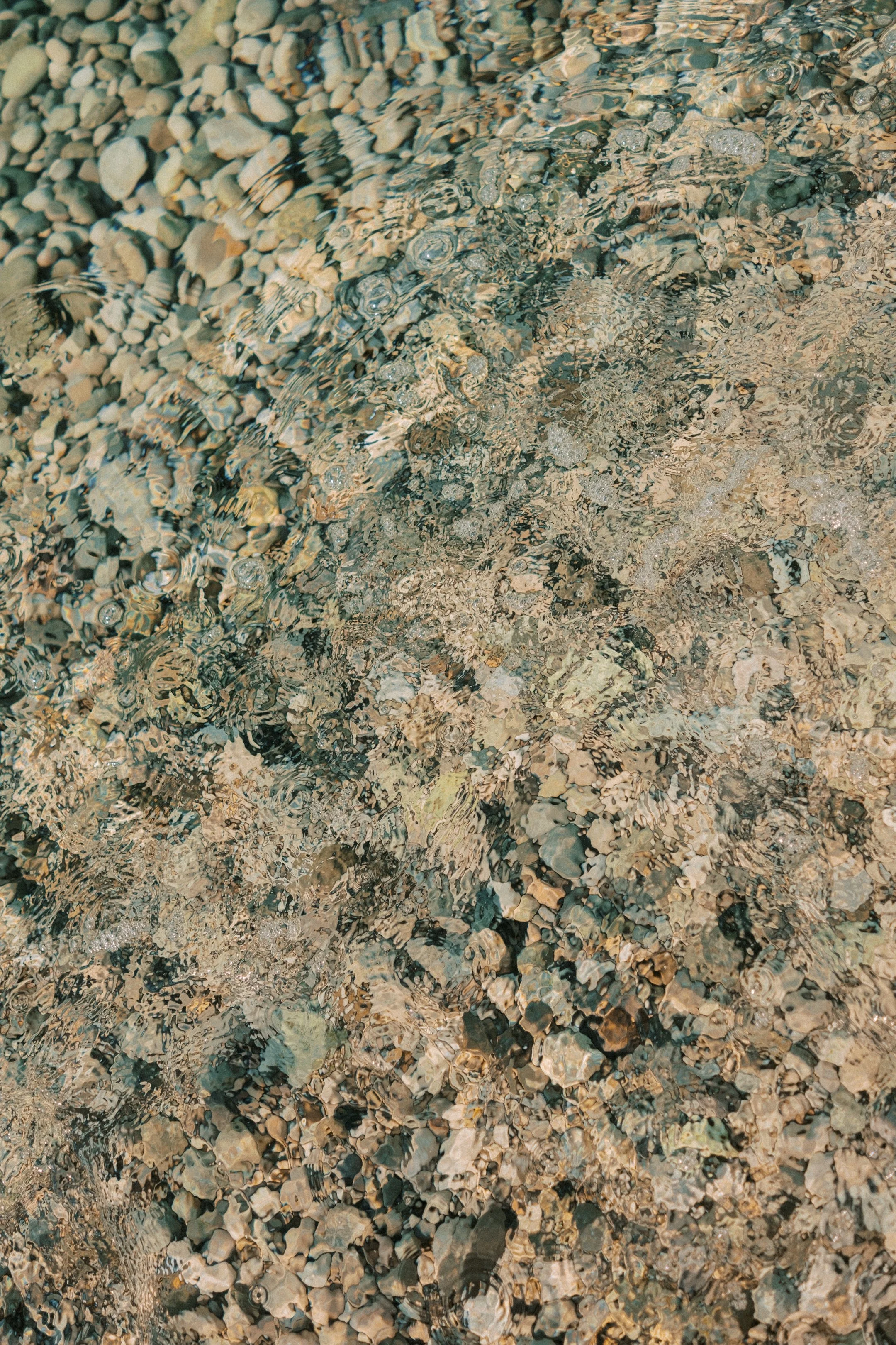 DSCF8233.jpg