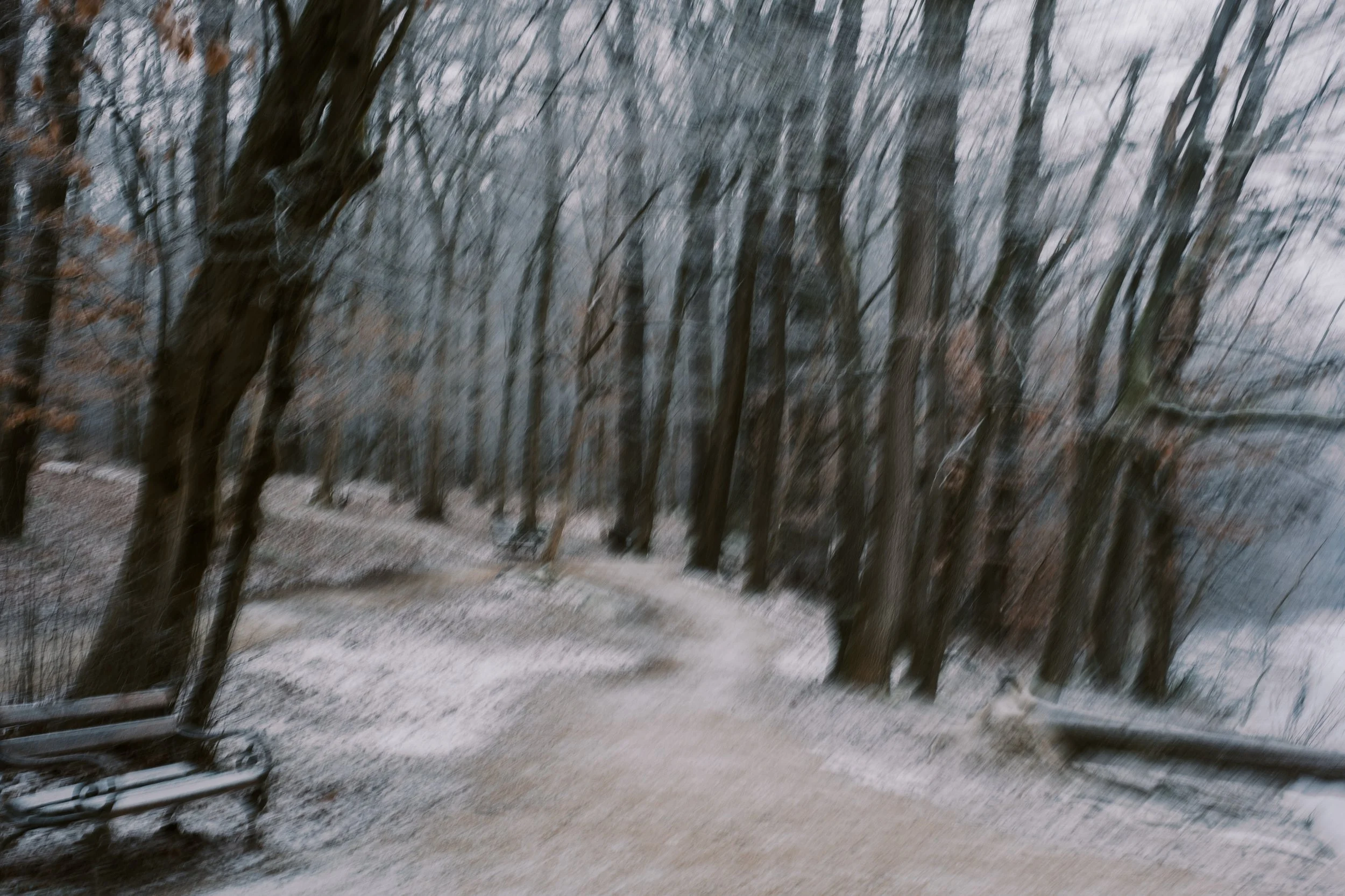 Maksimir-52.jpg