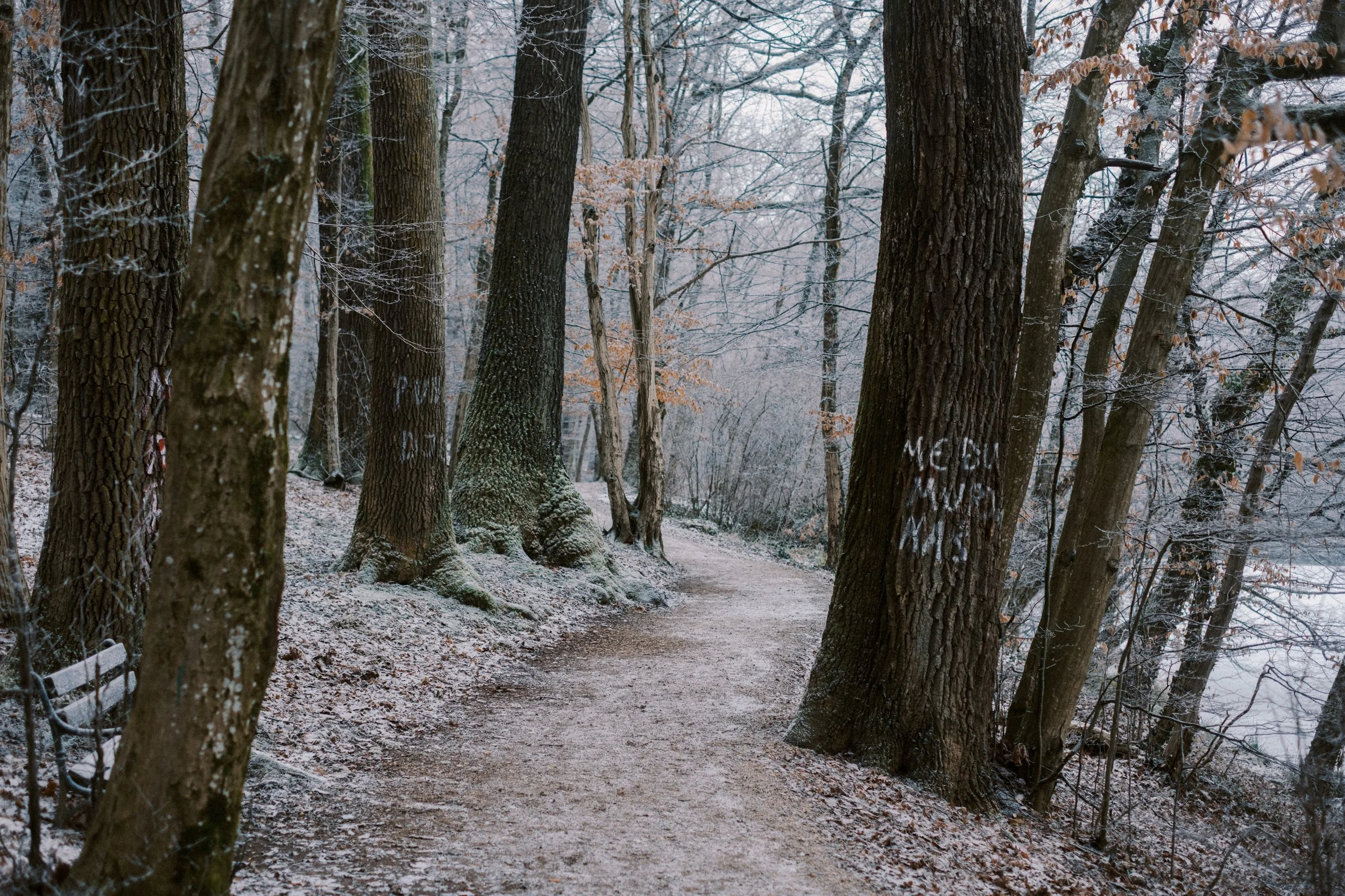 Maksimir-73.jpg
