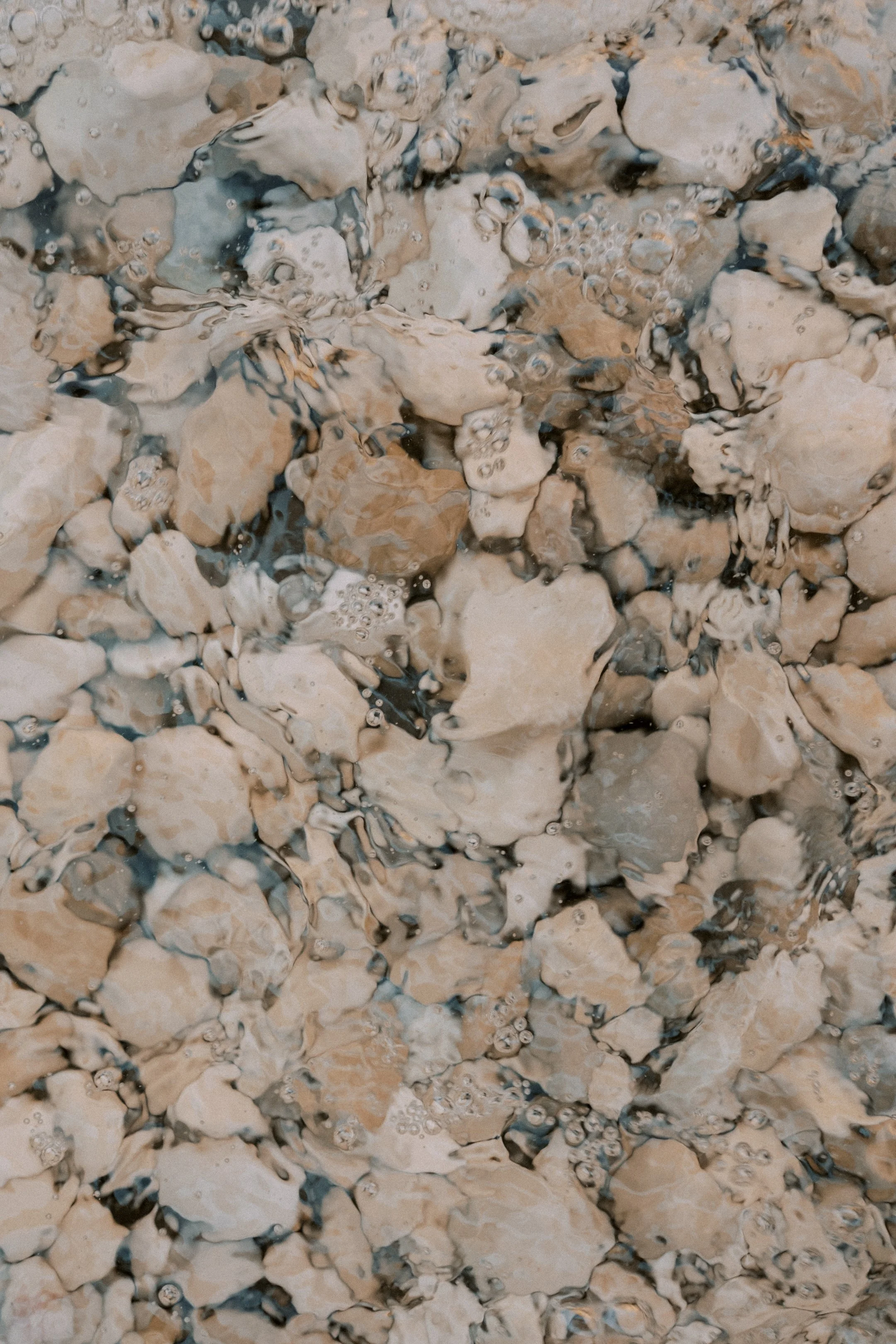 DSCF8521.jpg
