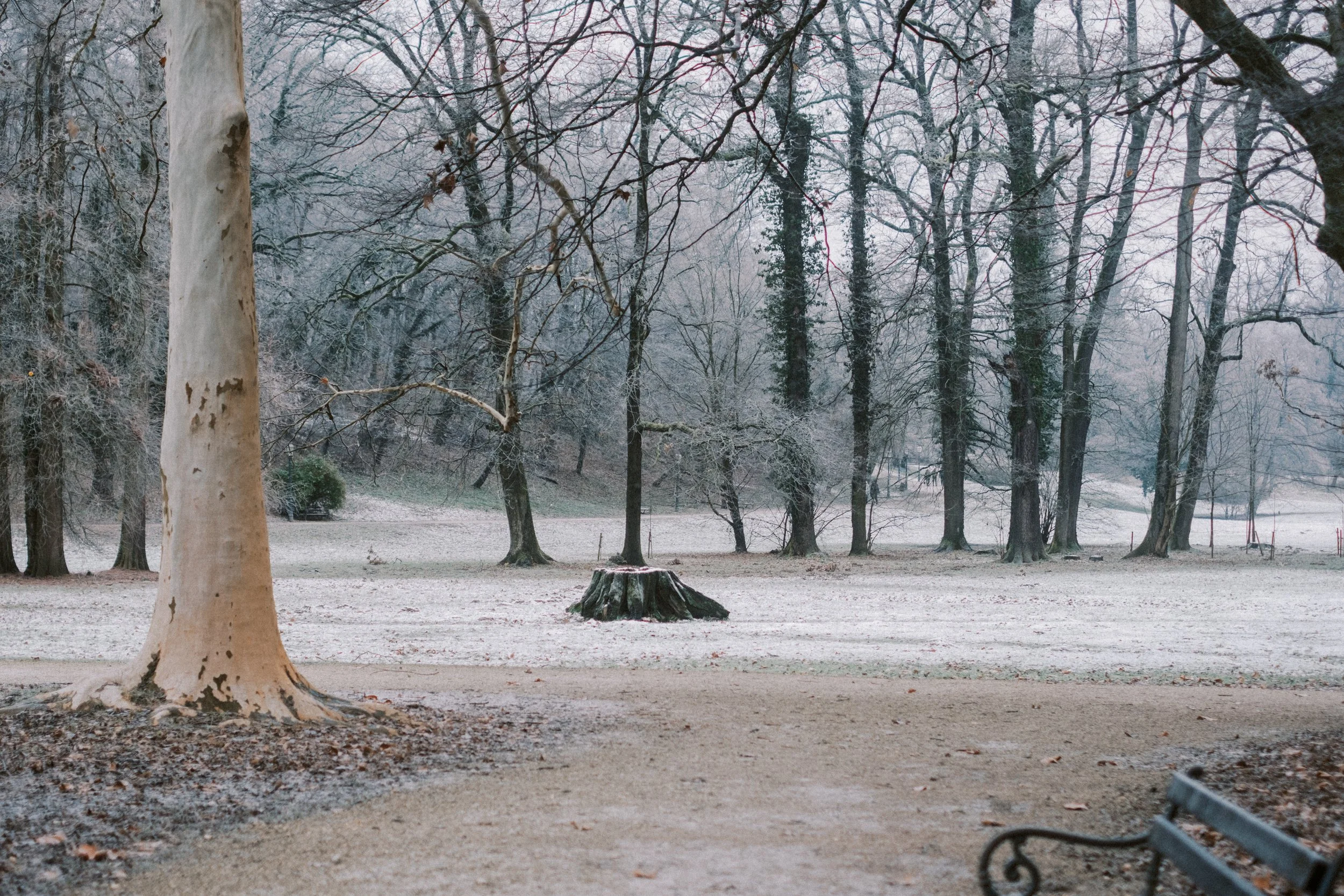 Maksimir-39.jpg