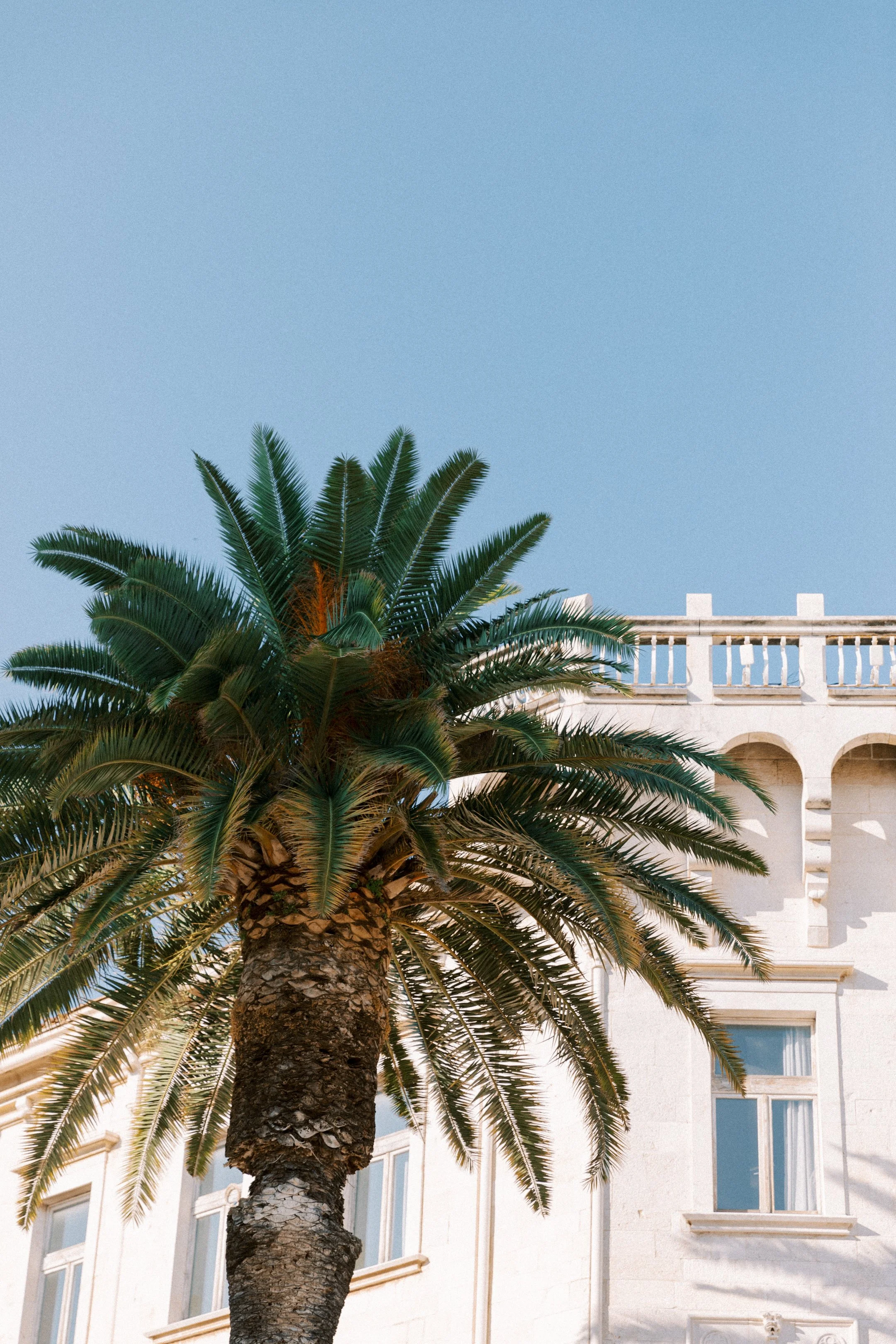 hvar_new-1.jpg