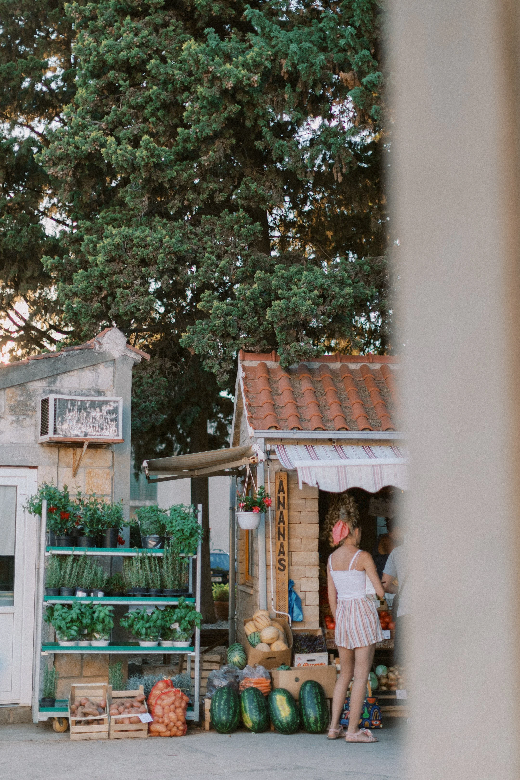 hvar_new-134.jpg