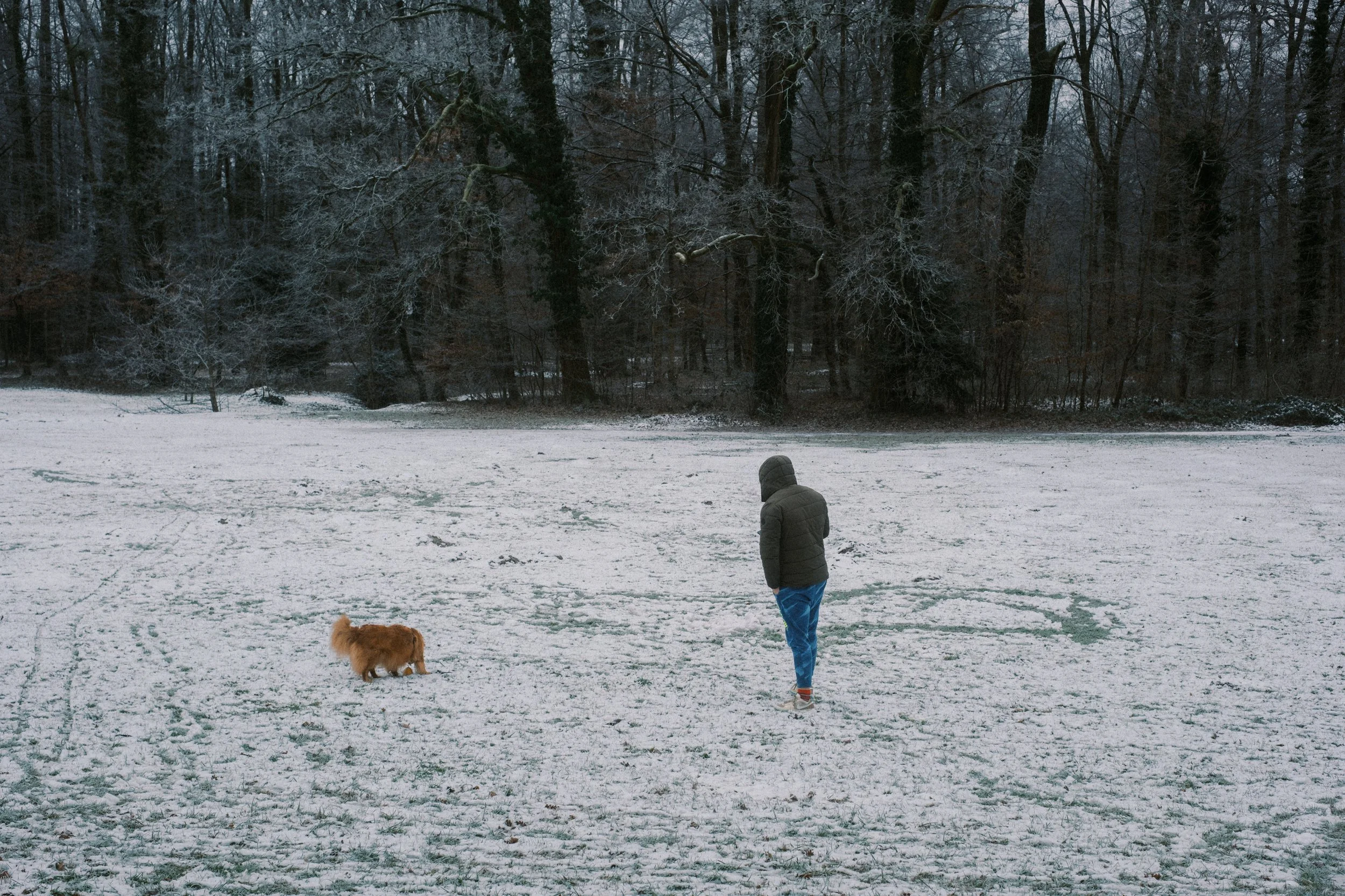 Maksimir-50.jpg