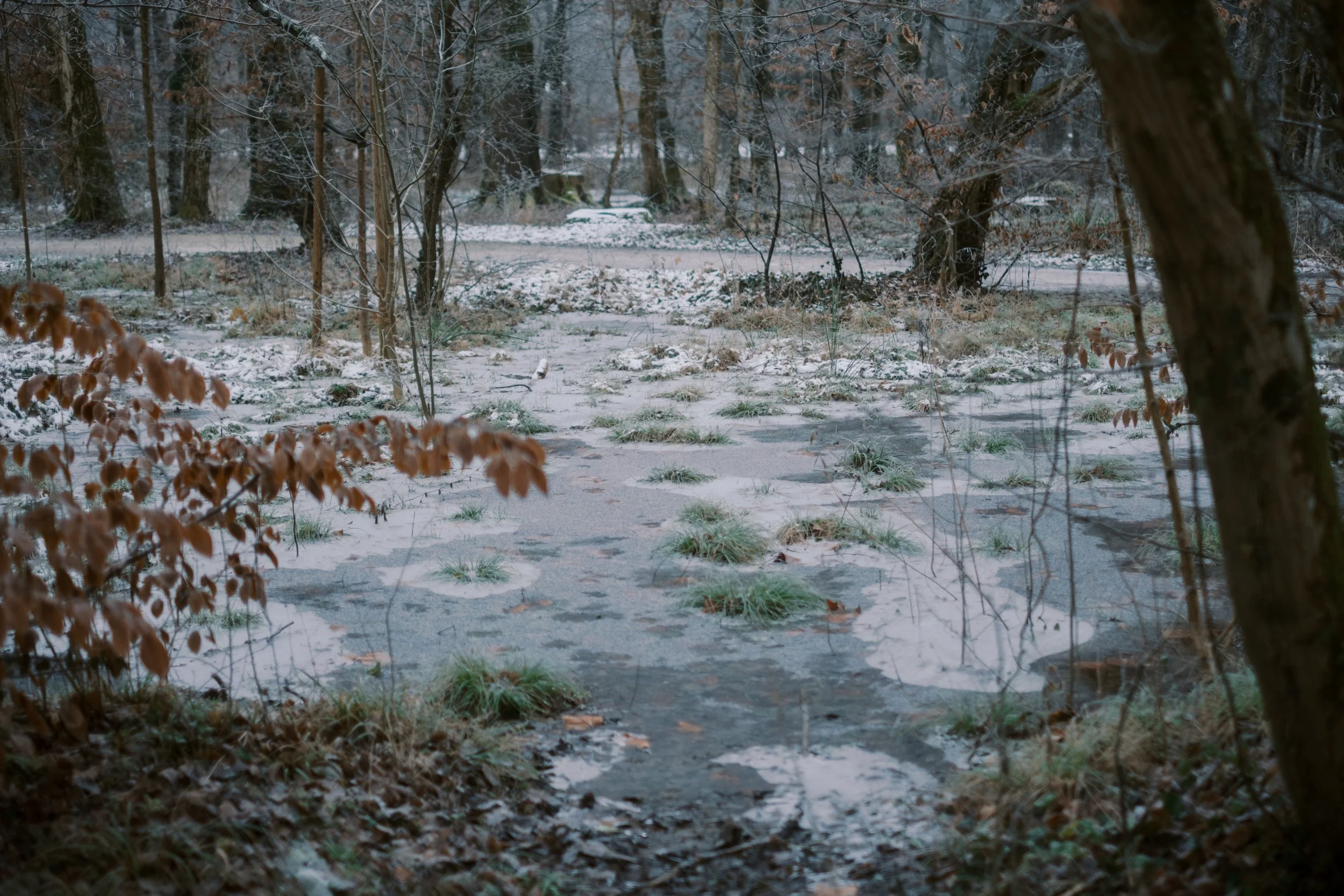 Maksimir-35.jpg